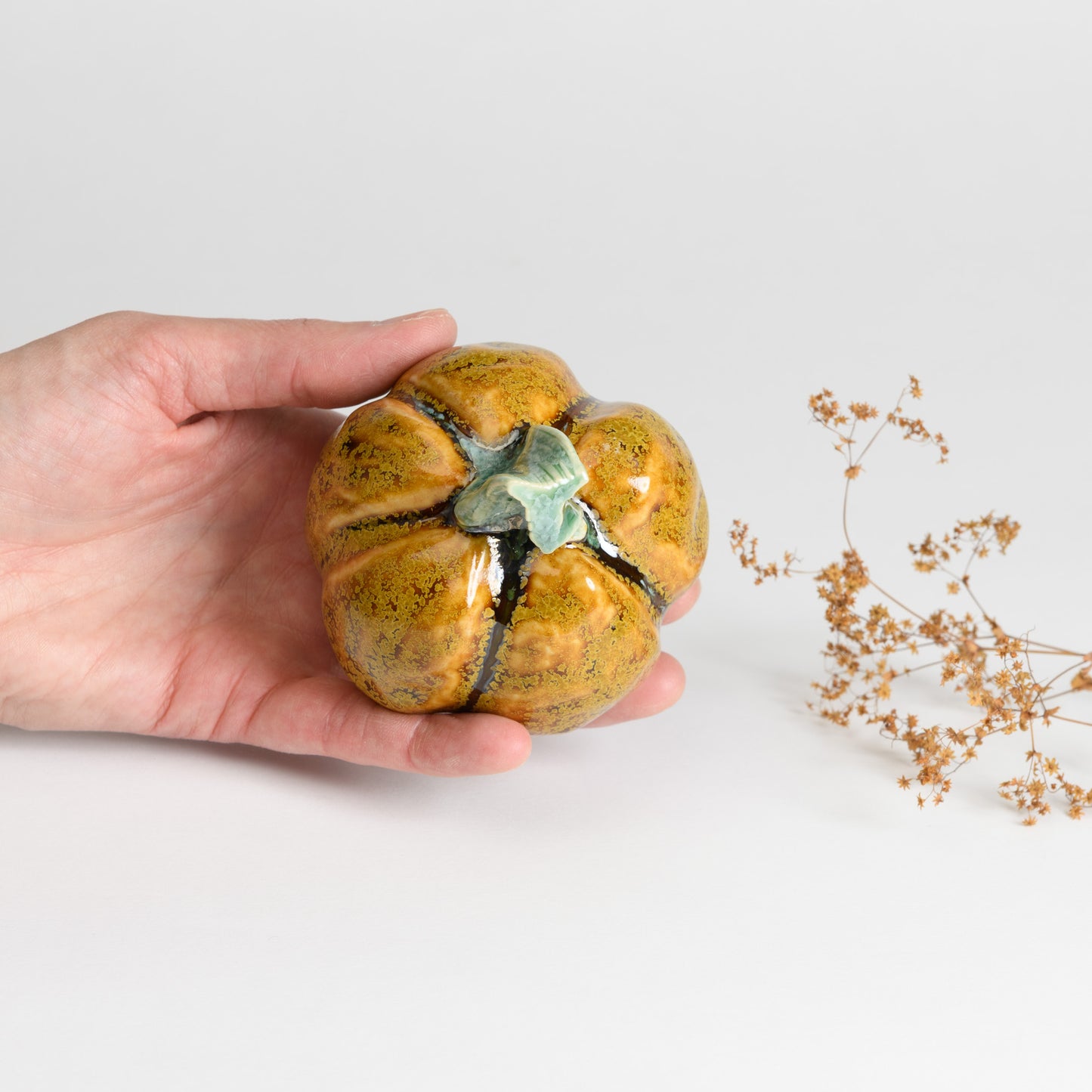 Pumpkin - Caramel #2