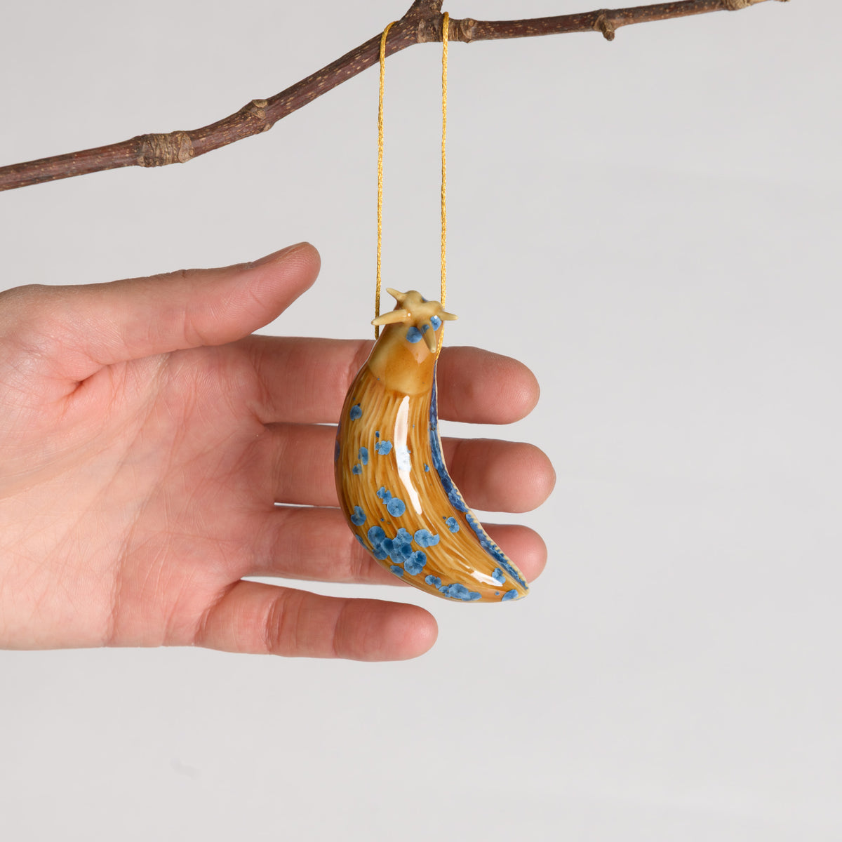 Slug - Hanging