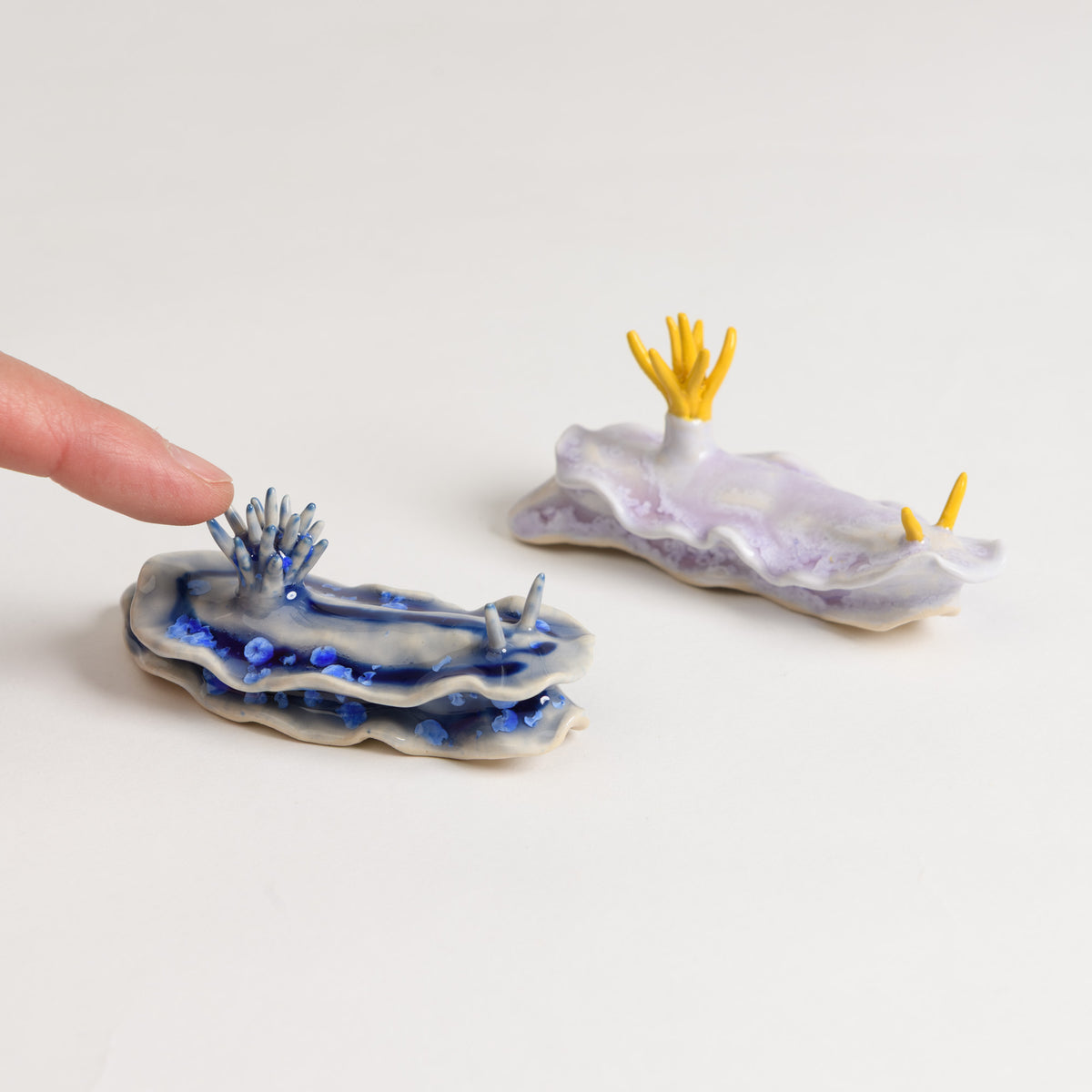 Sea Slug