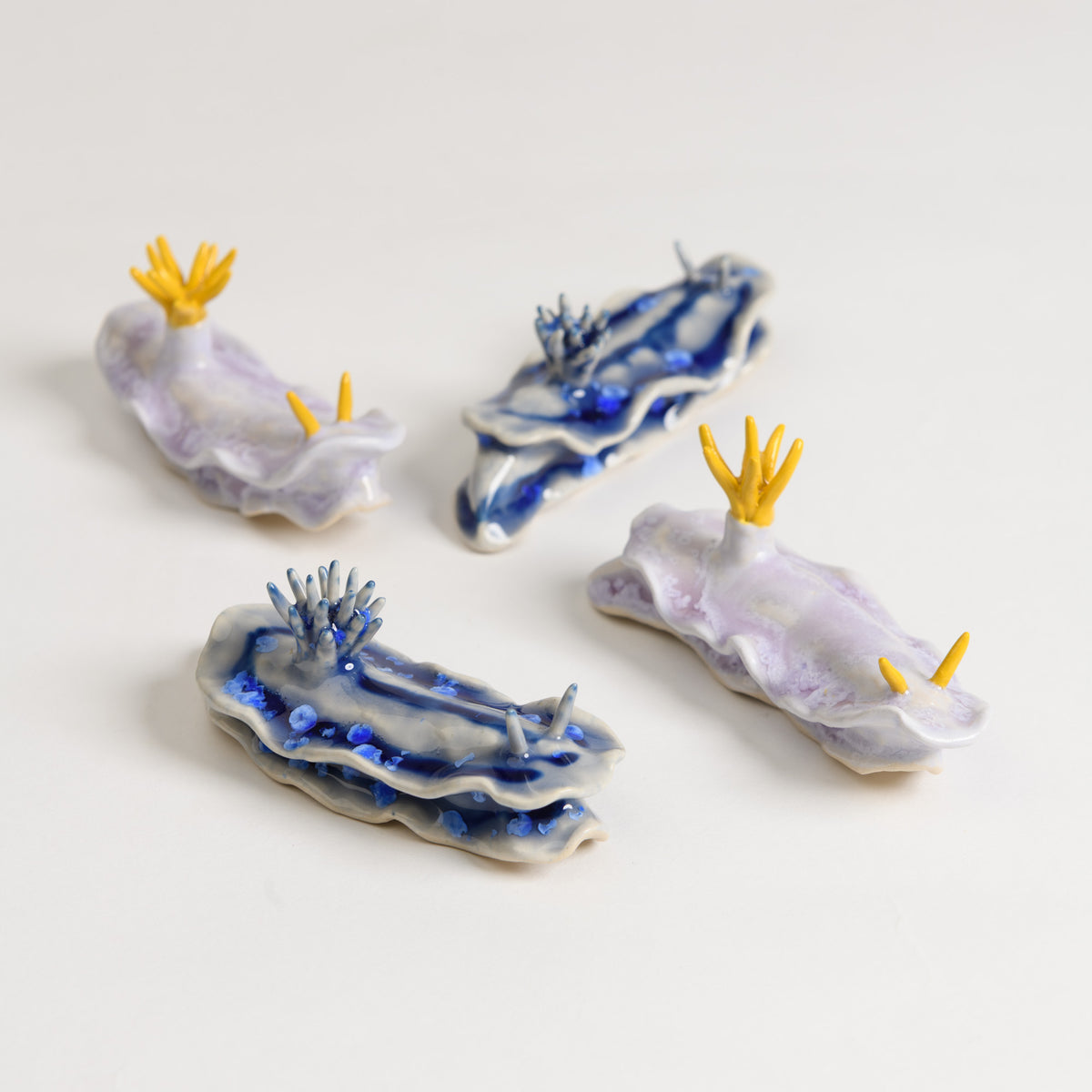 Sea Slug
