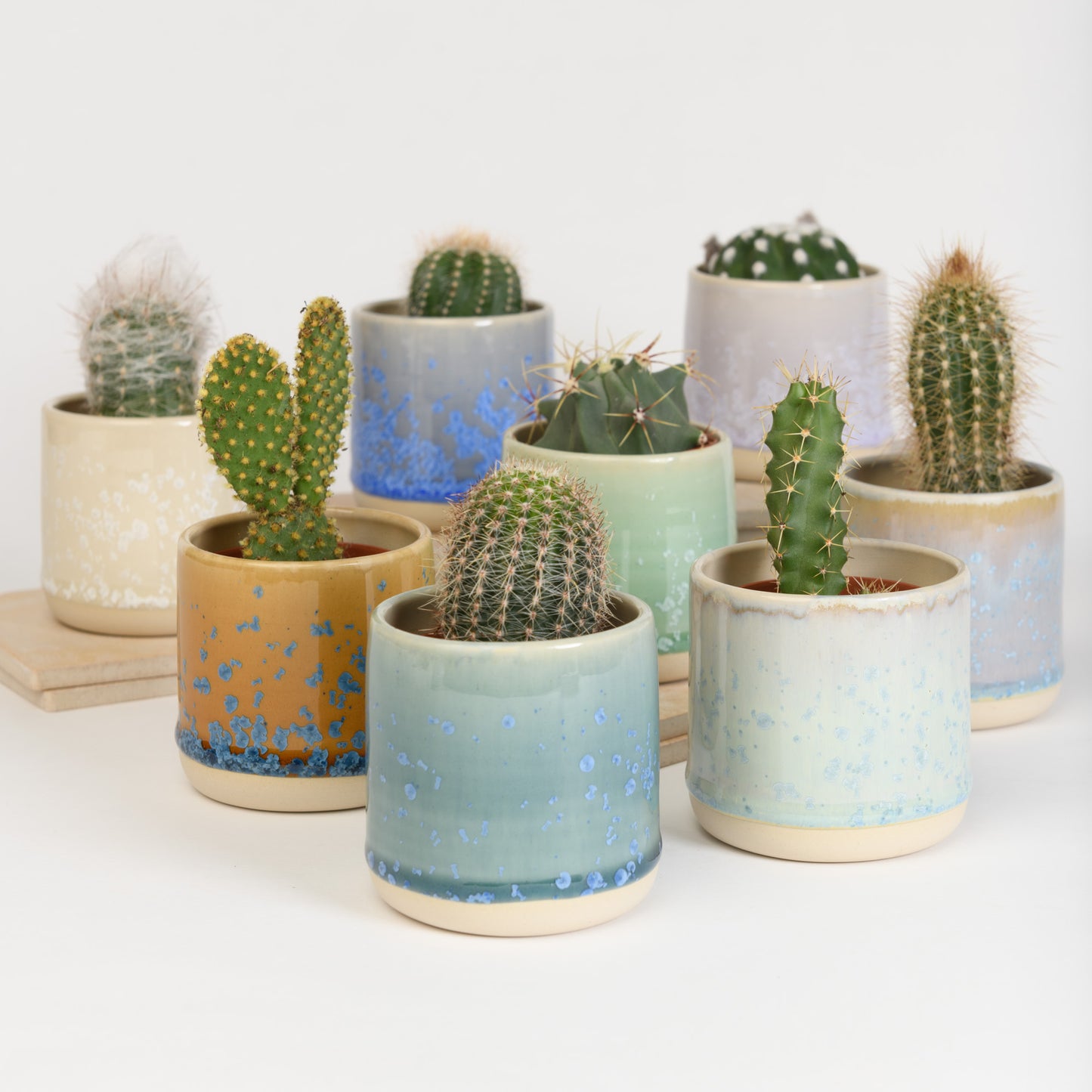 Espresso Cup / Mini Planter - Crystal Teal