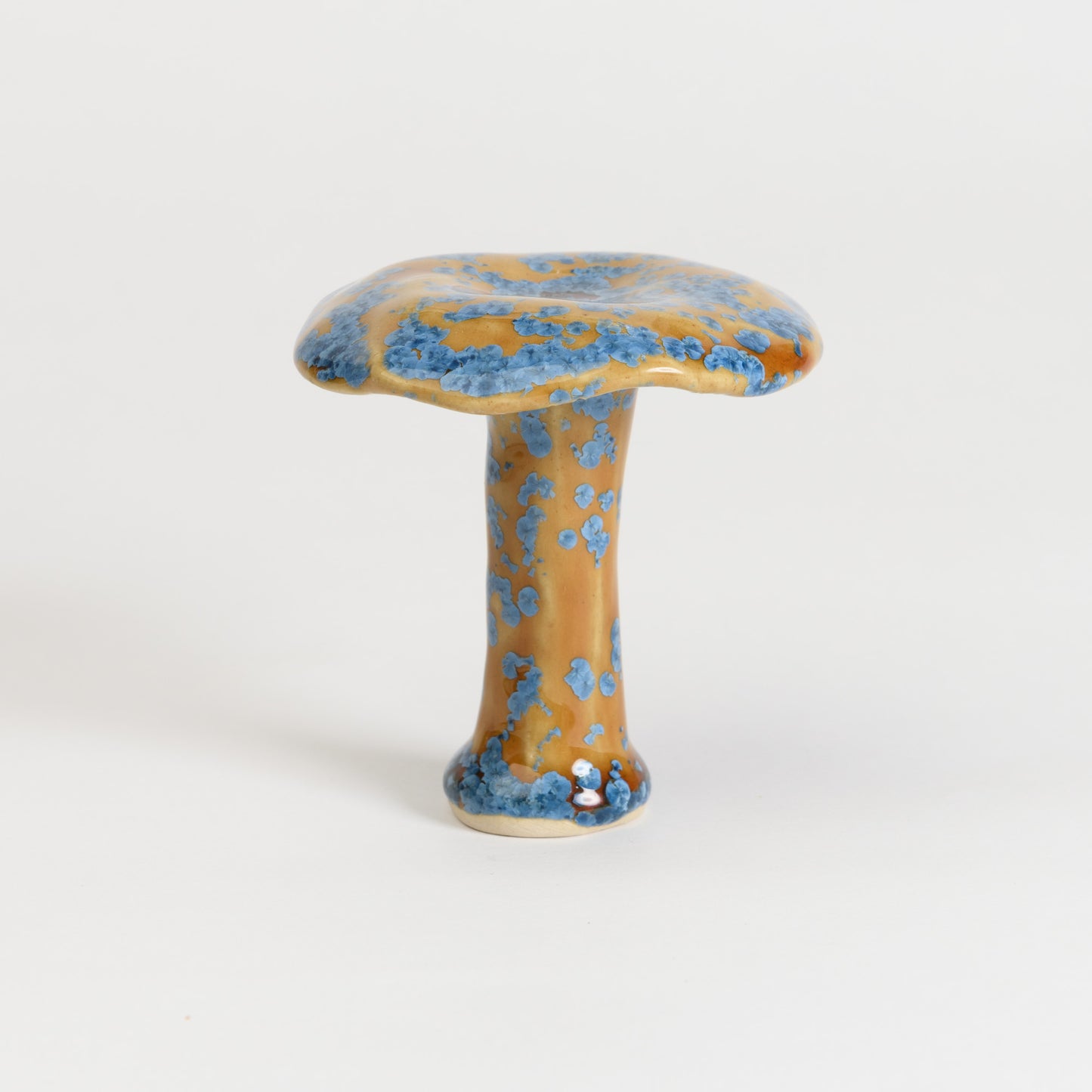 Mushroom - Milkcap