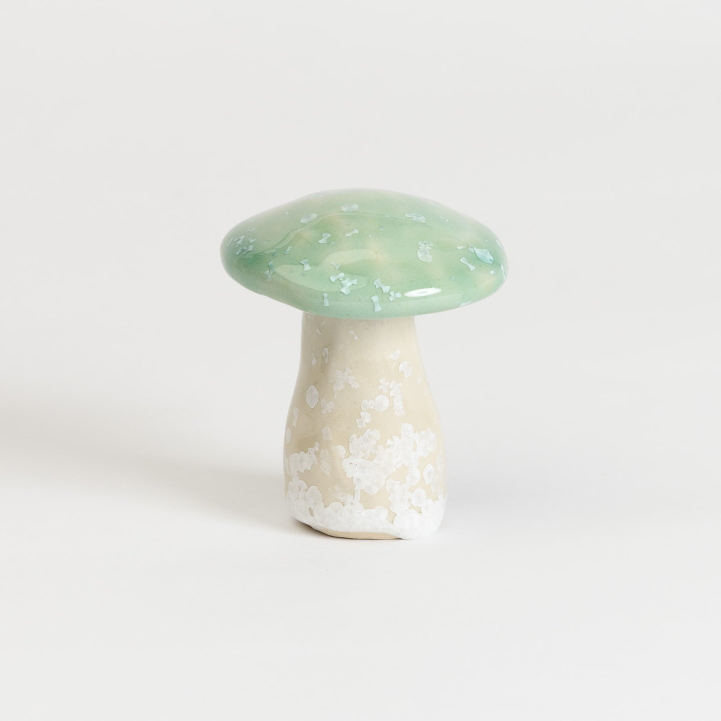 Mushroom - Porcini