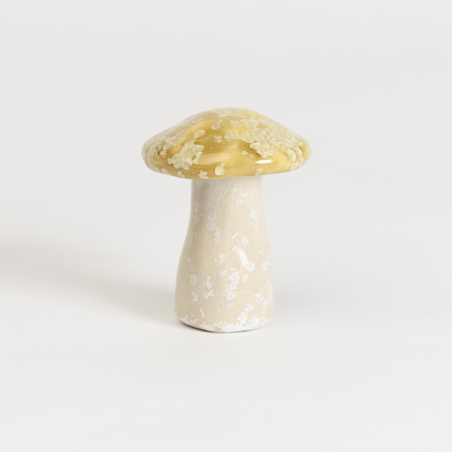 Mushroom - Porcini