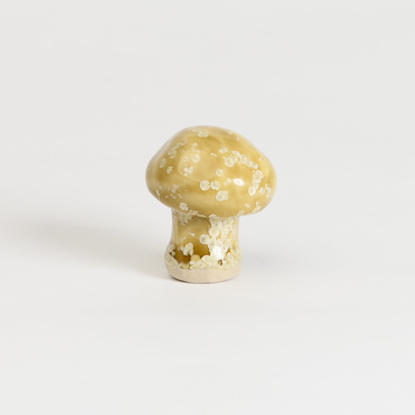 Mushroom - Button