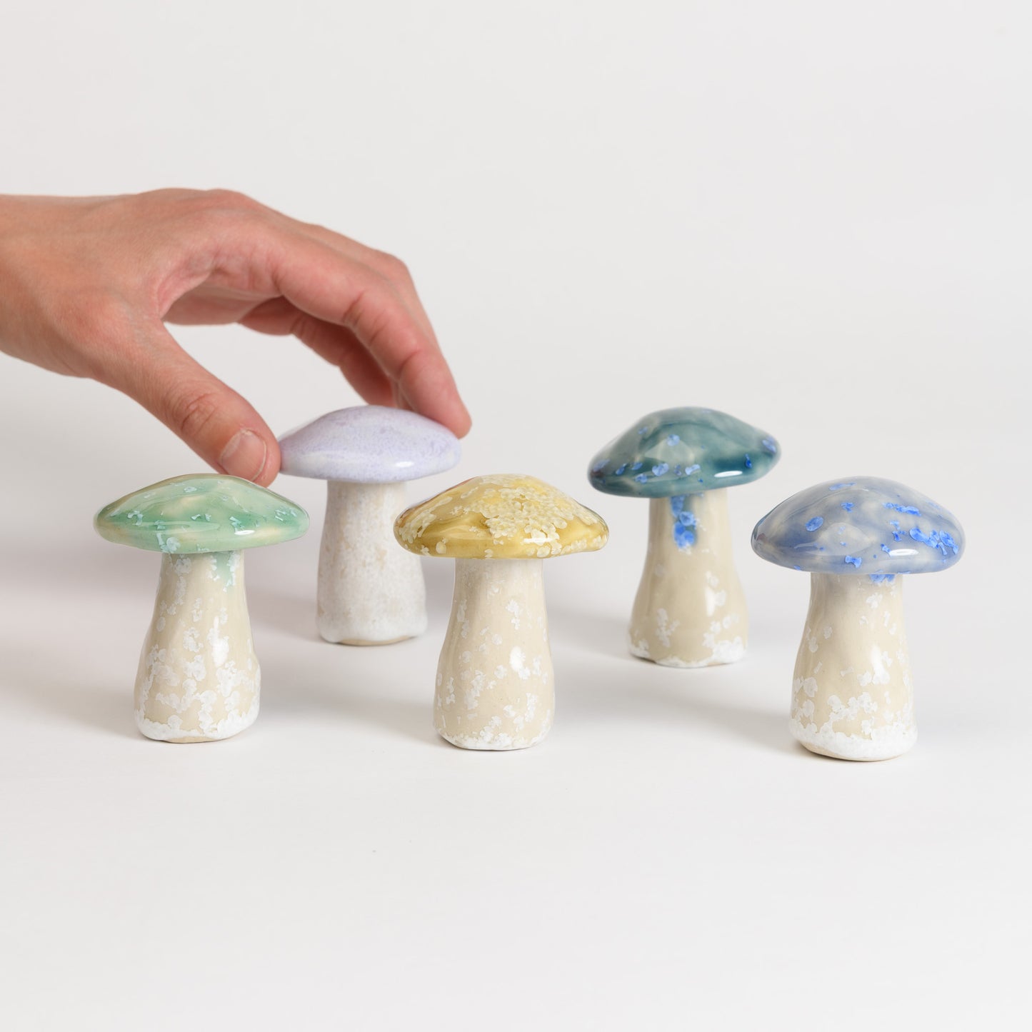 Mushroom - Porcini