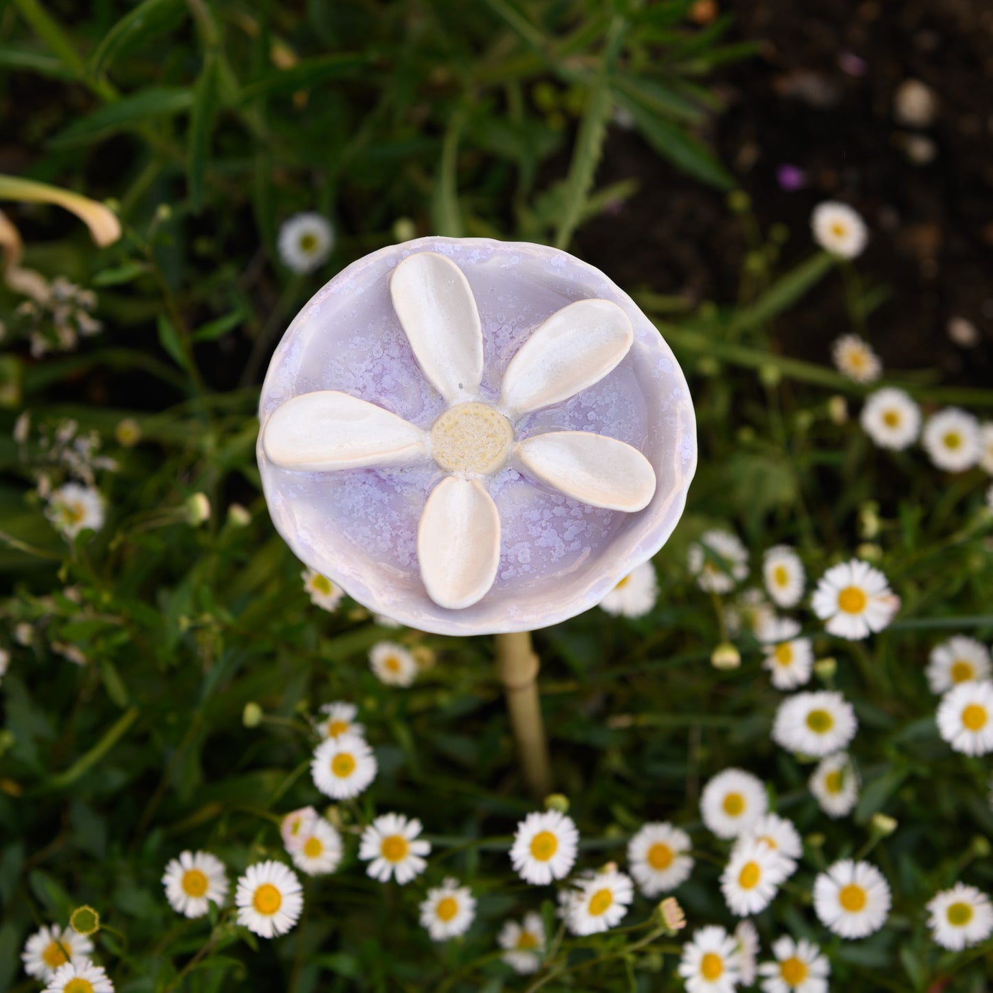 Bee Bath - Flower 5 Petals