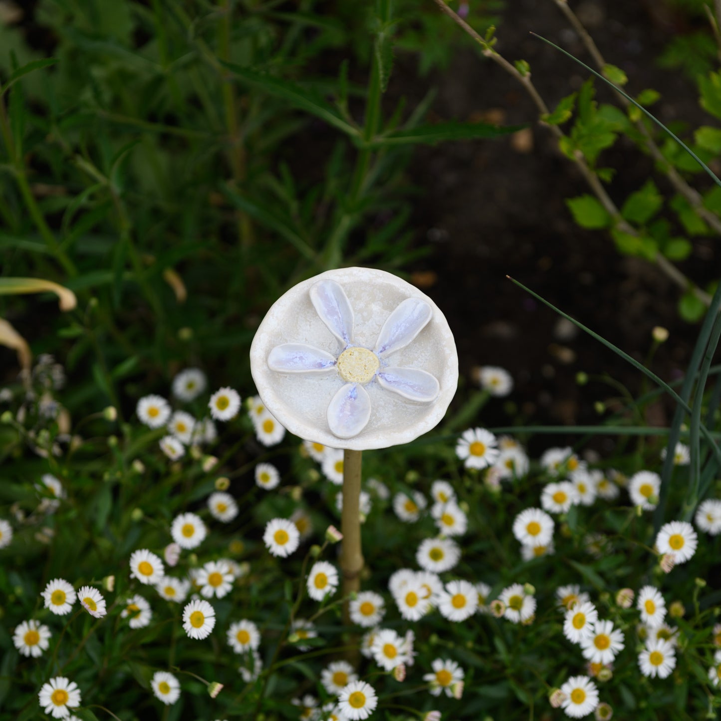 Bee Bath - Flower 5 Petals
