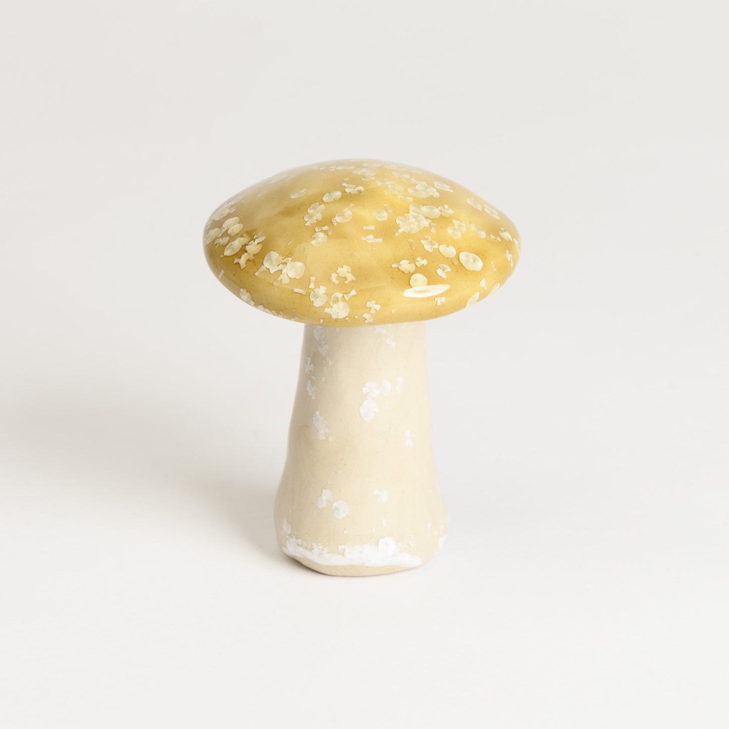Mushroom - Porcini