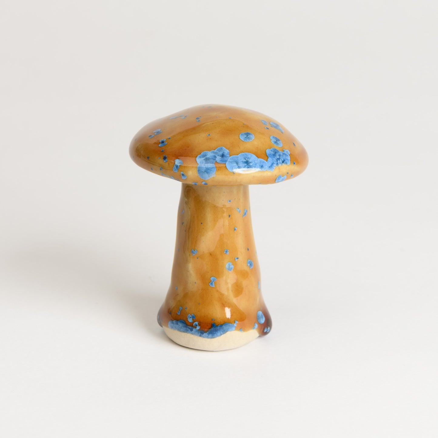 Mushroom - Porcini