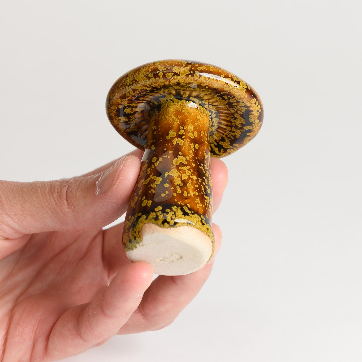 Mushroom - Porcini