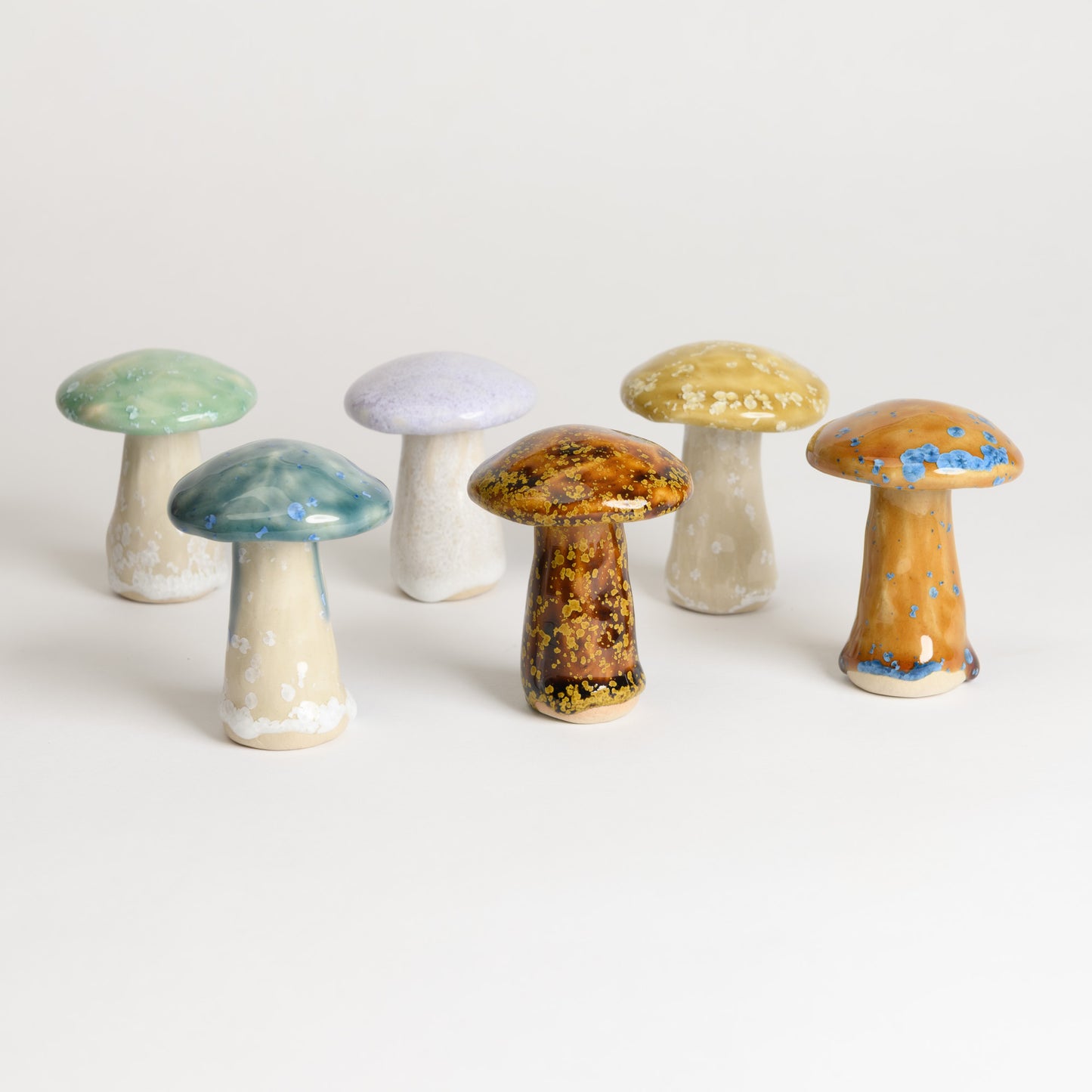 Mushroom - Porcini