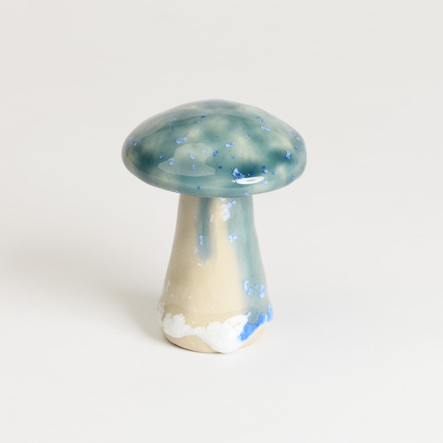 Mushroom - Porcini