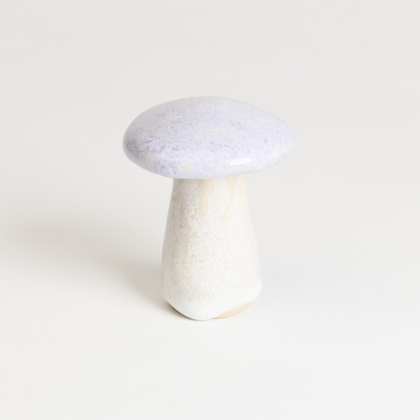 Mushroom - Porcini