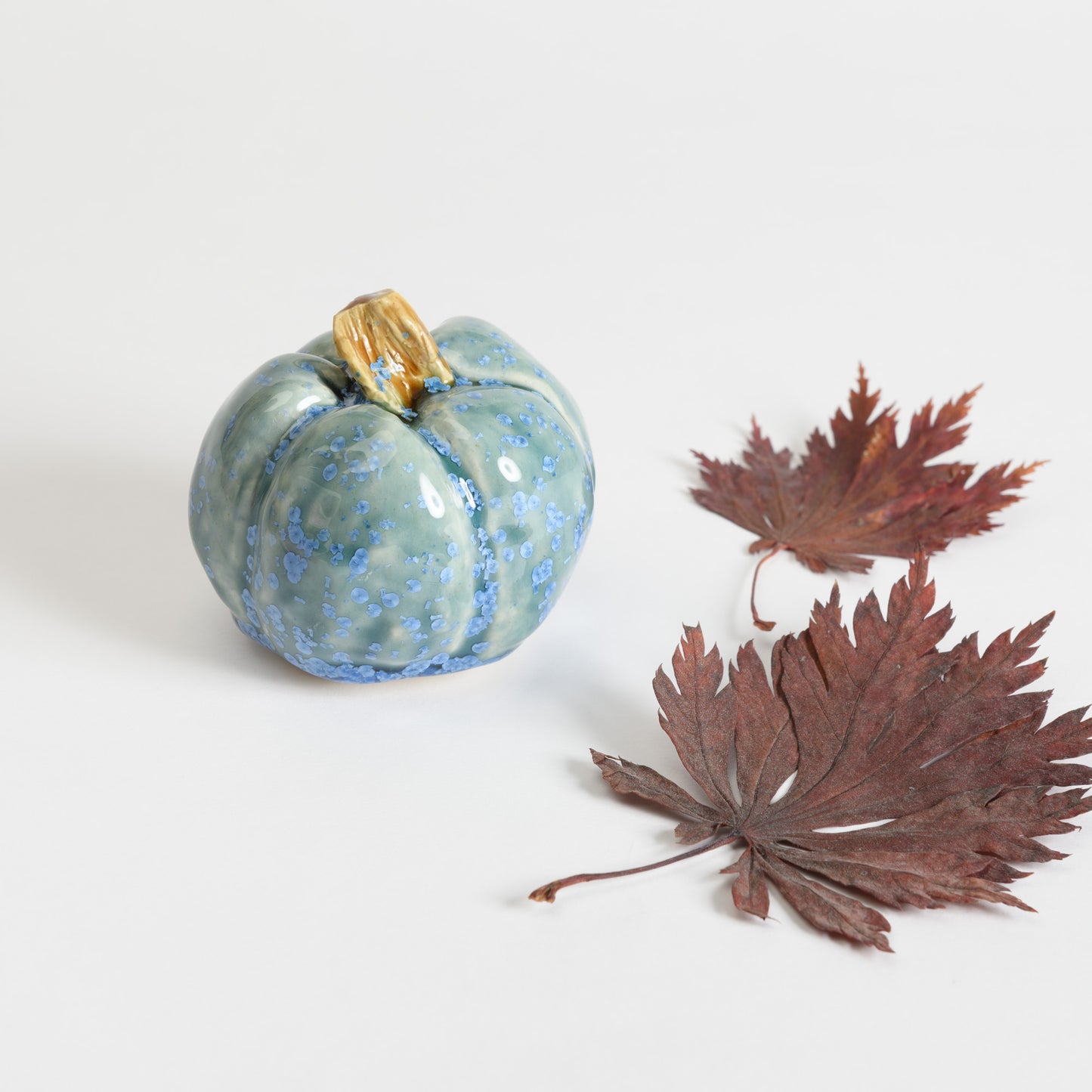 Pumpkin - Teal #3