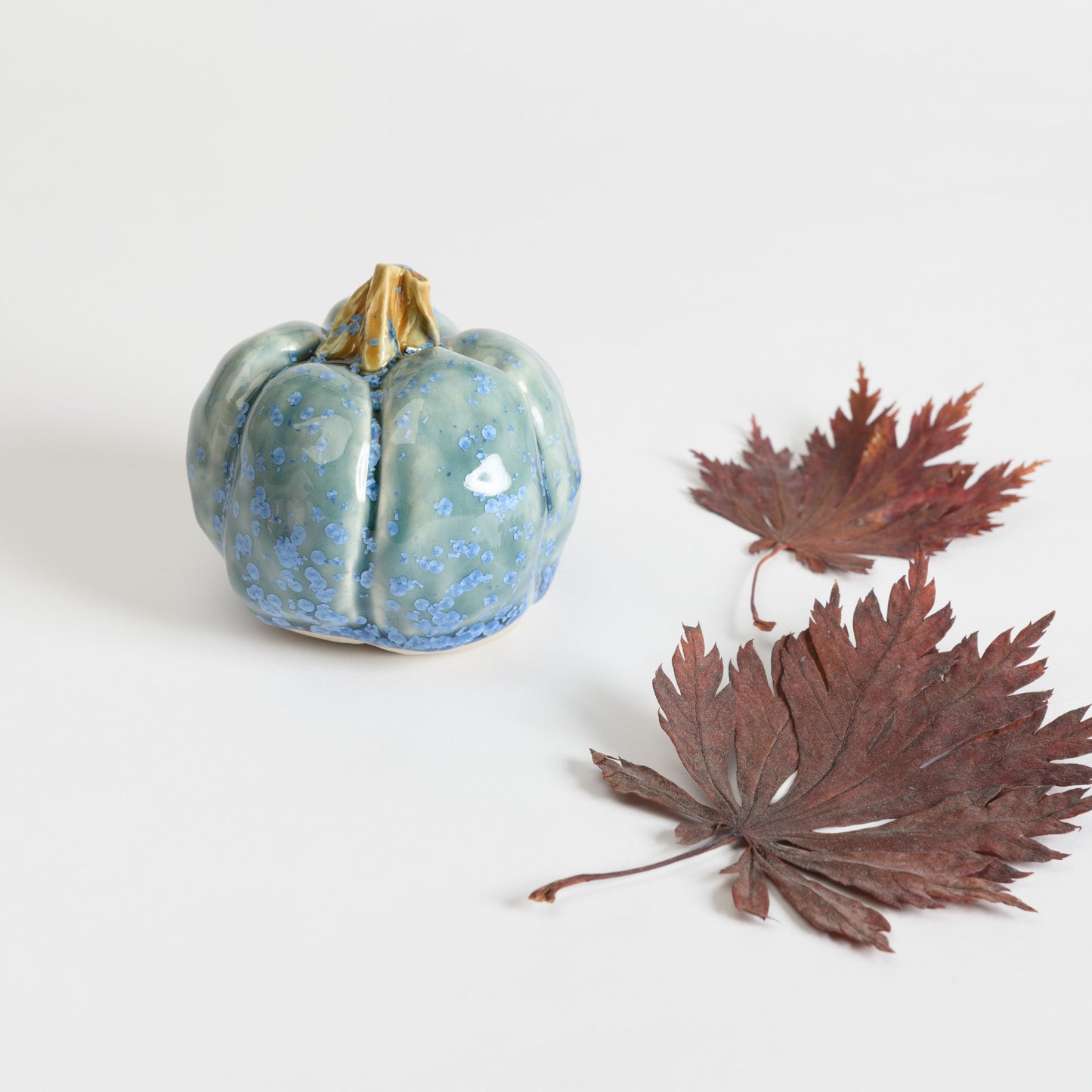 Pumpkin - Teal #3