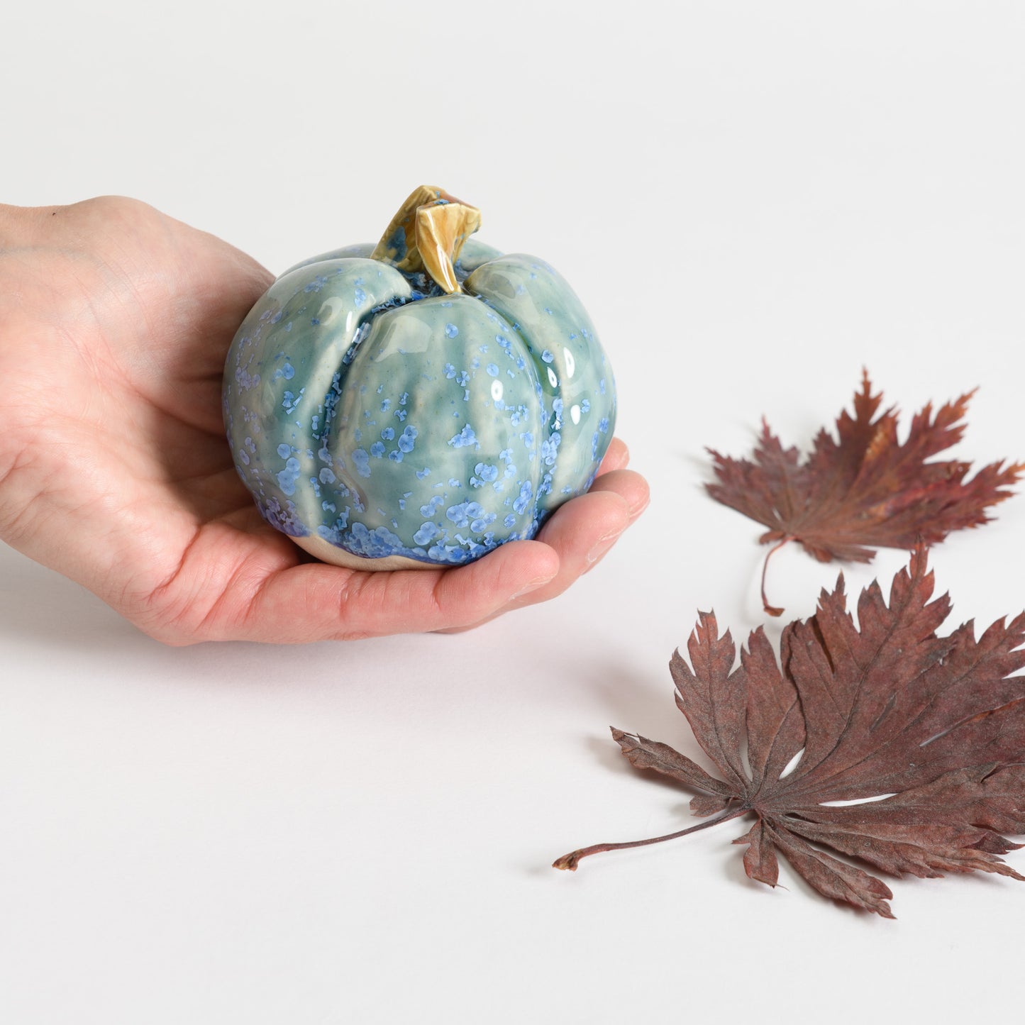 Pumpkin - Teal #3