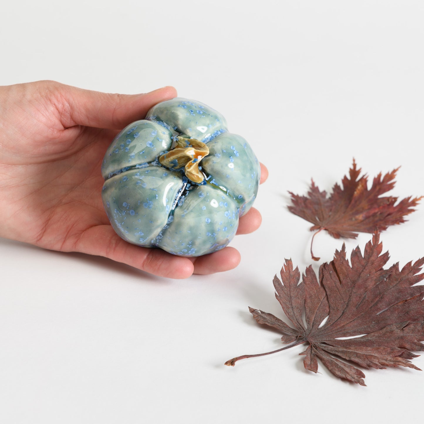 Pumpkin - Teal #3