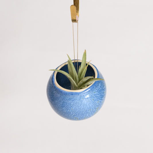 Hanging Air Plant Holder