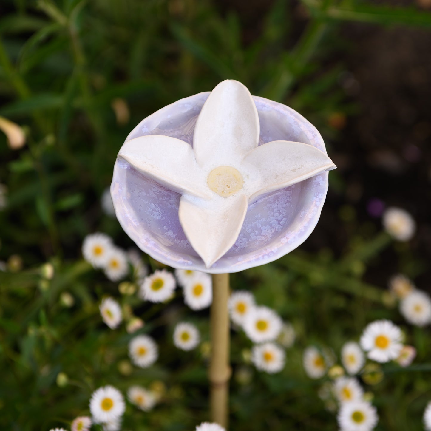 Bee Bath - Flower 4 Petals