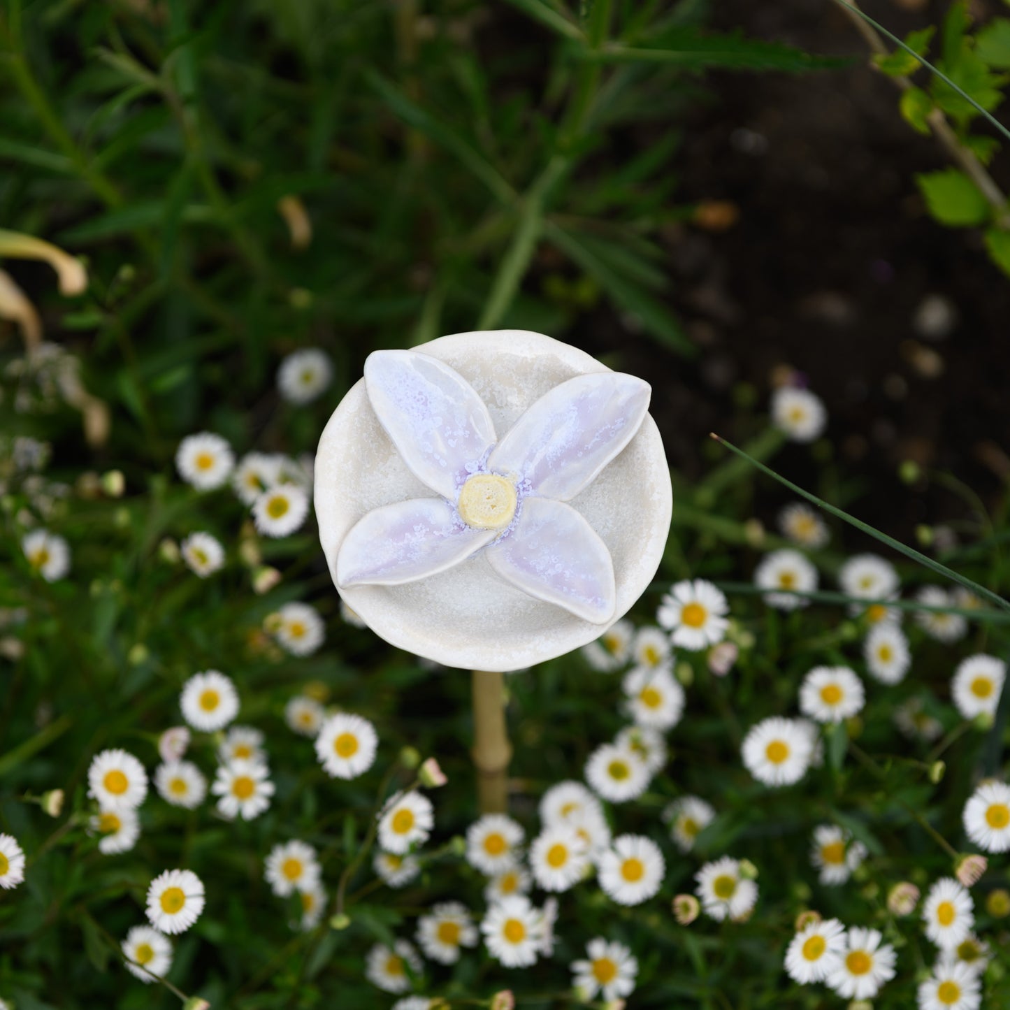 Bee Bath - Flower 4 Petals