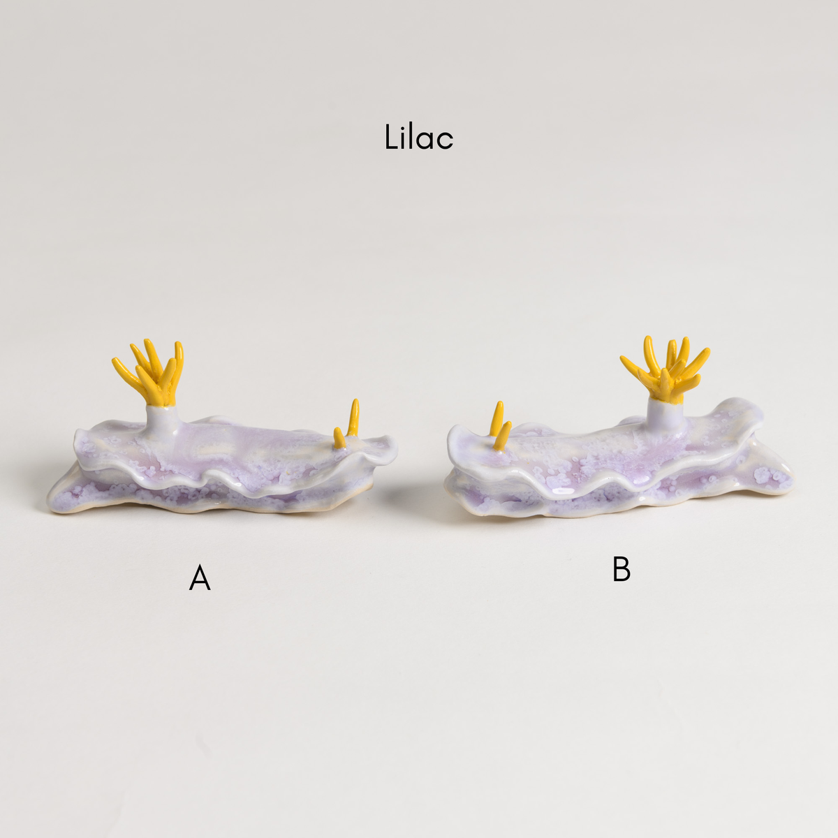 Sea Slug