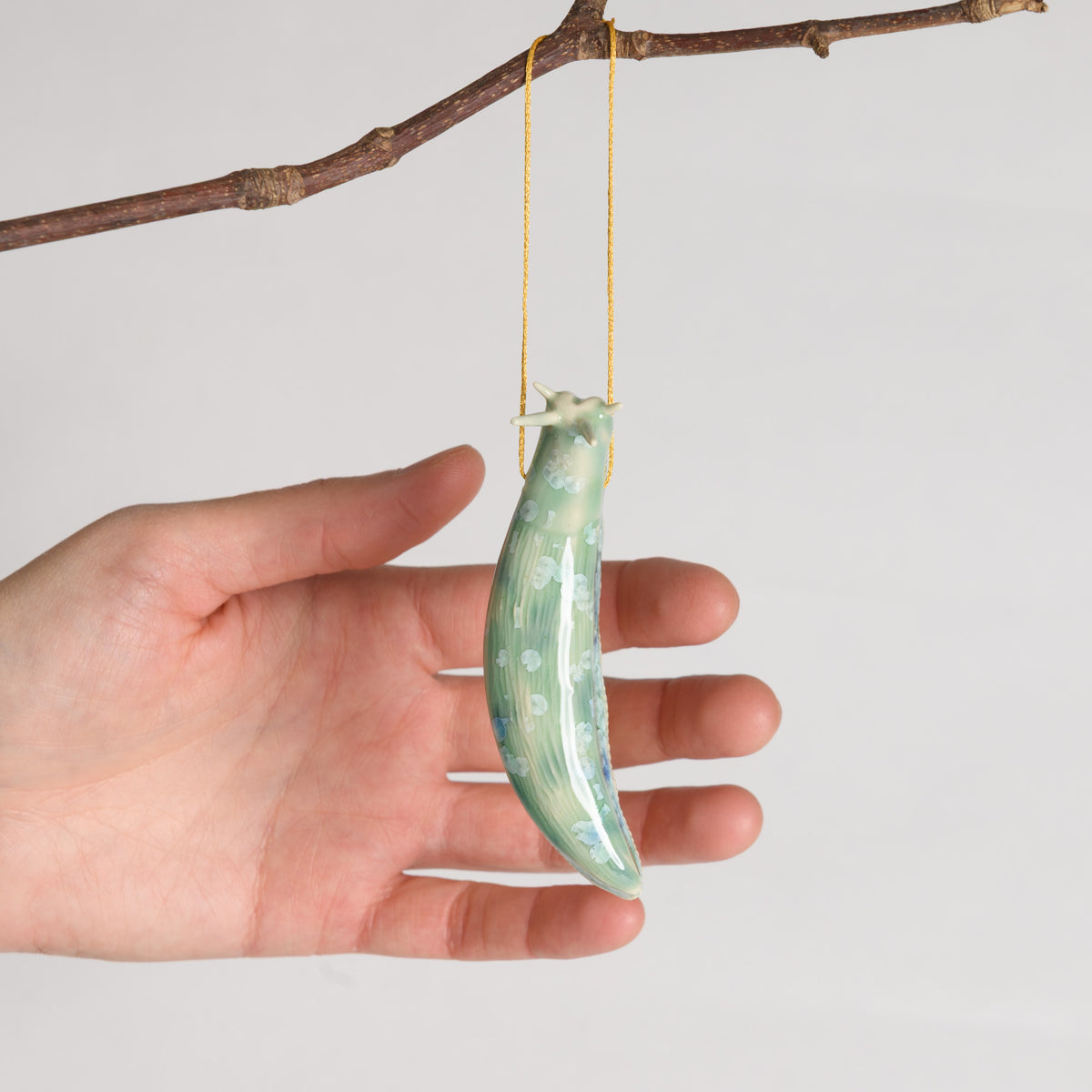 Slug - Hanging