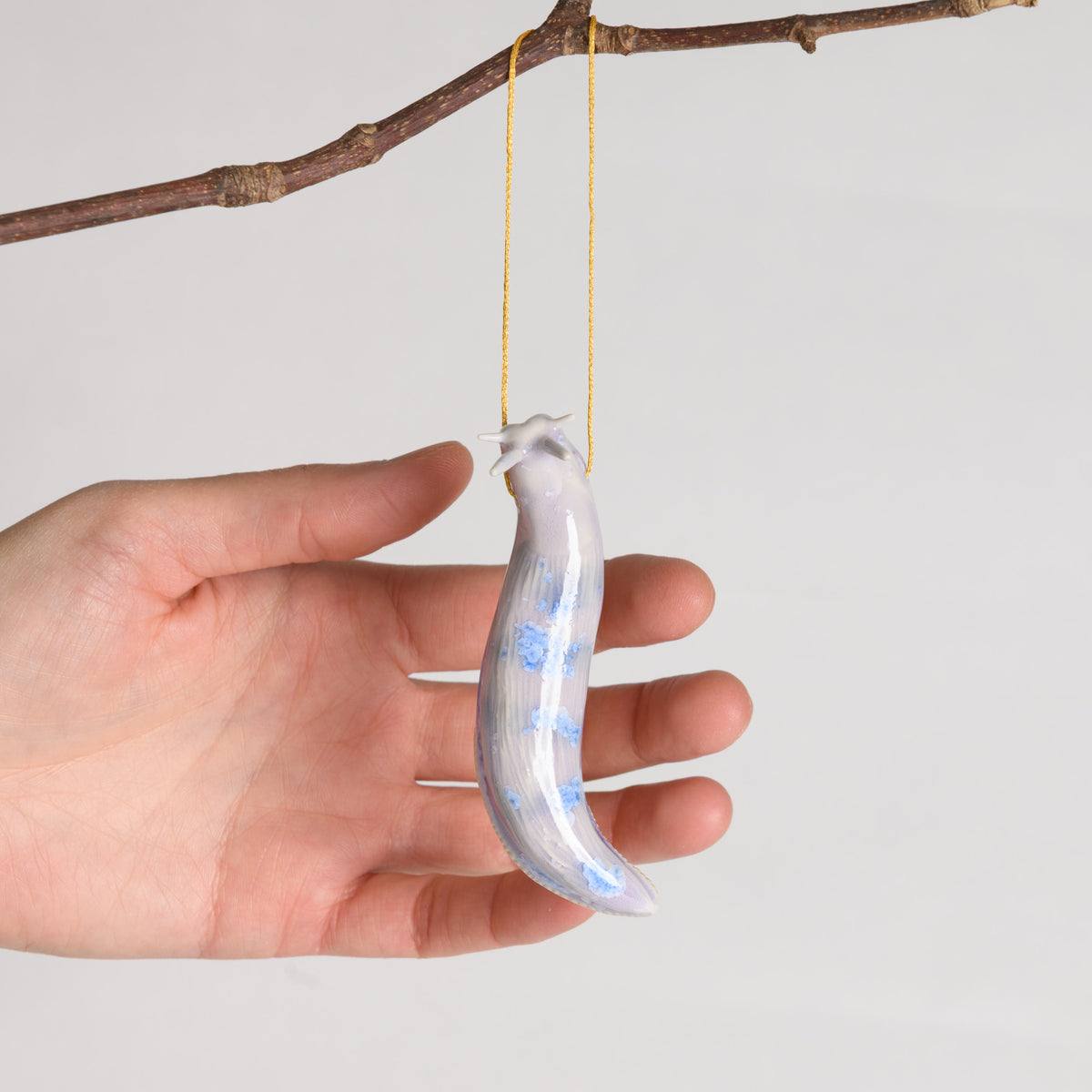 Slug - Hanging