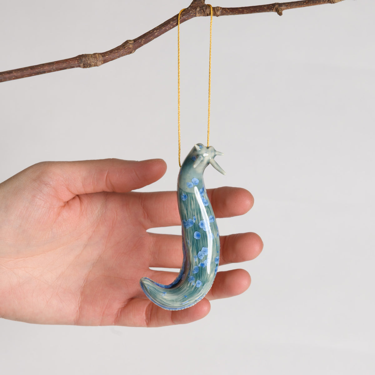 Slug - Hanging
