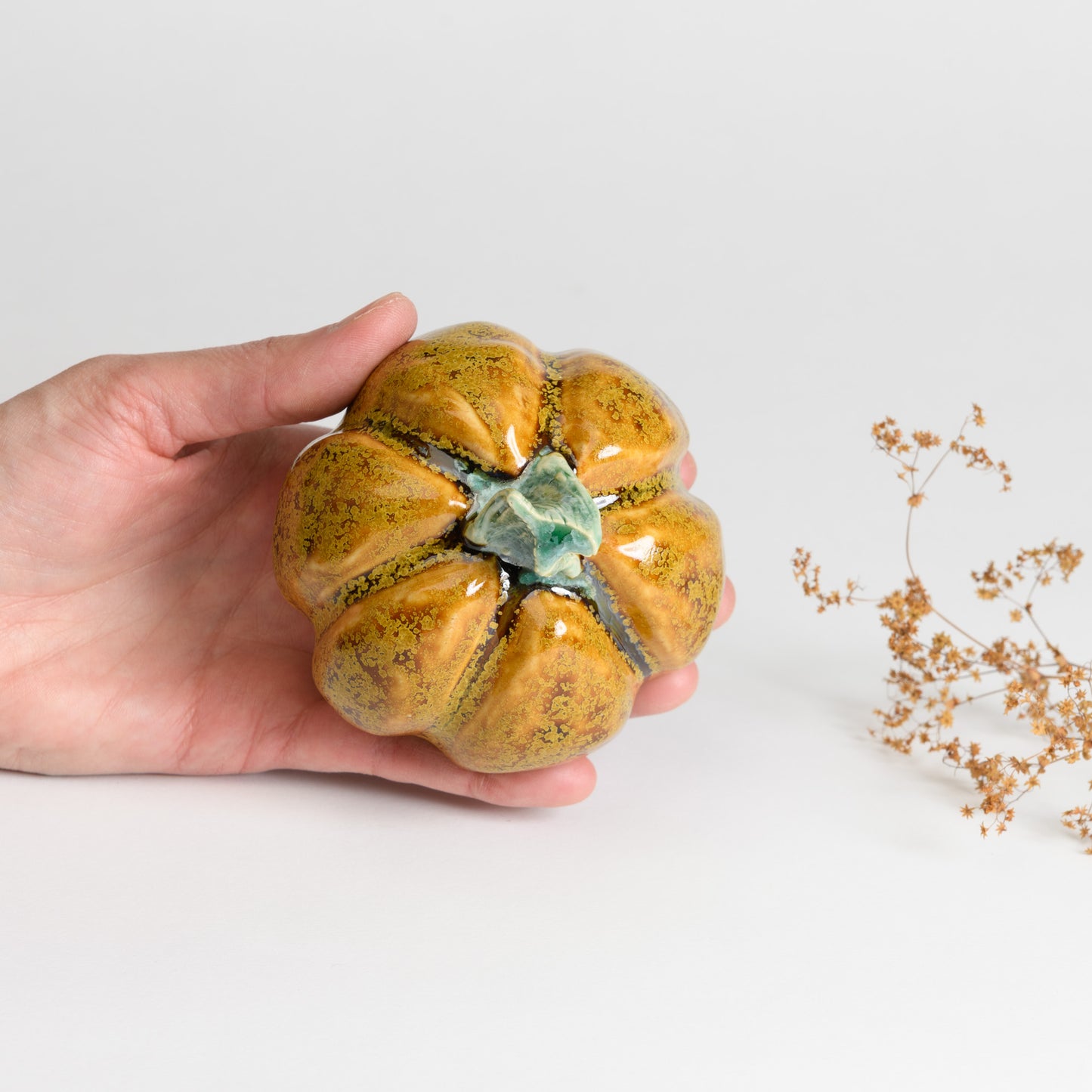 Pumpkin - Caramel #1