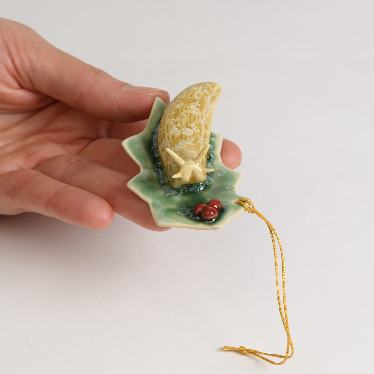 Slug - Holly