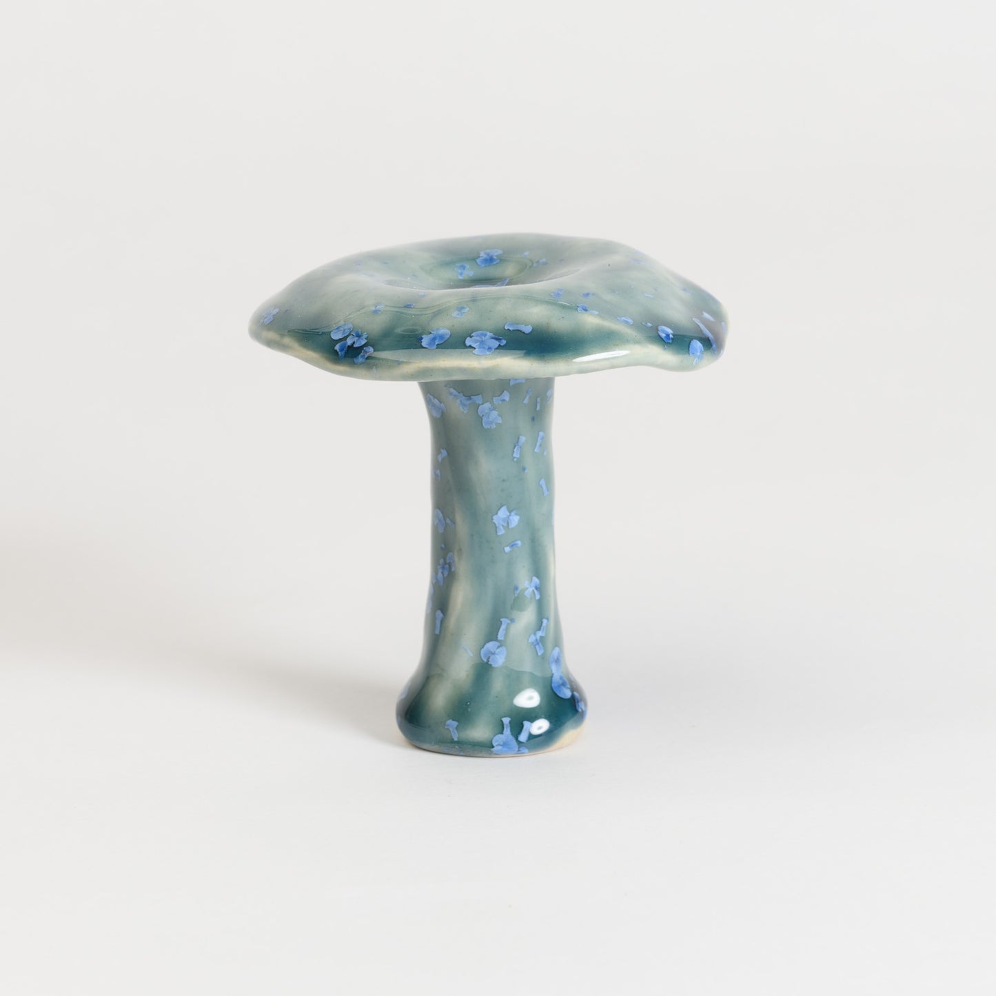 Mushroom - Milkcap