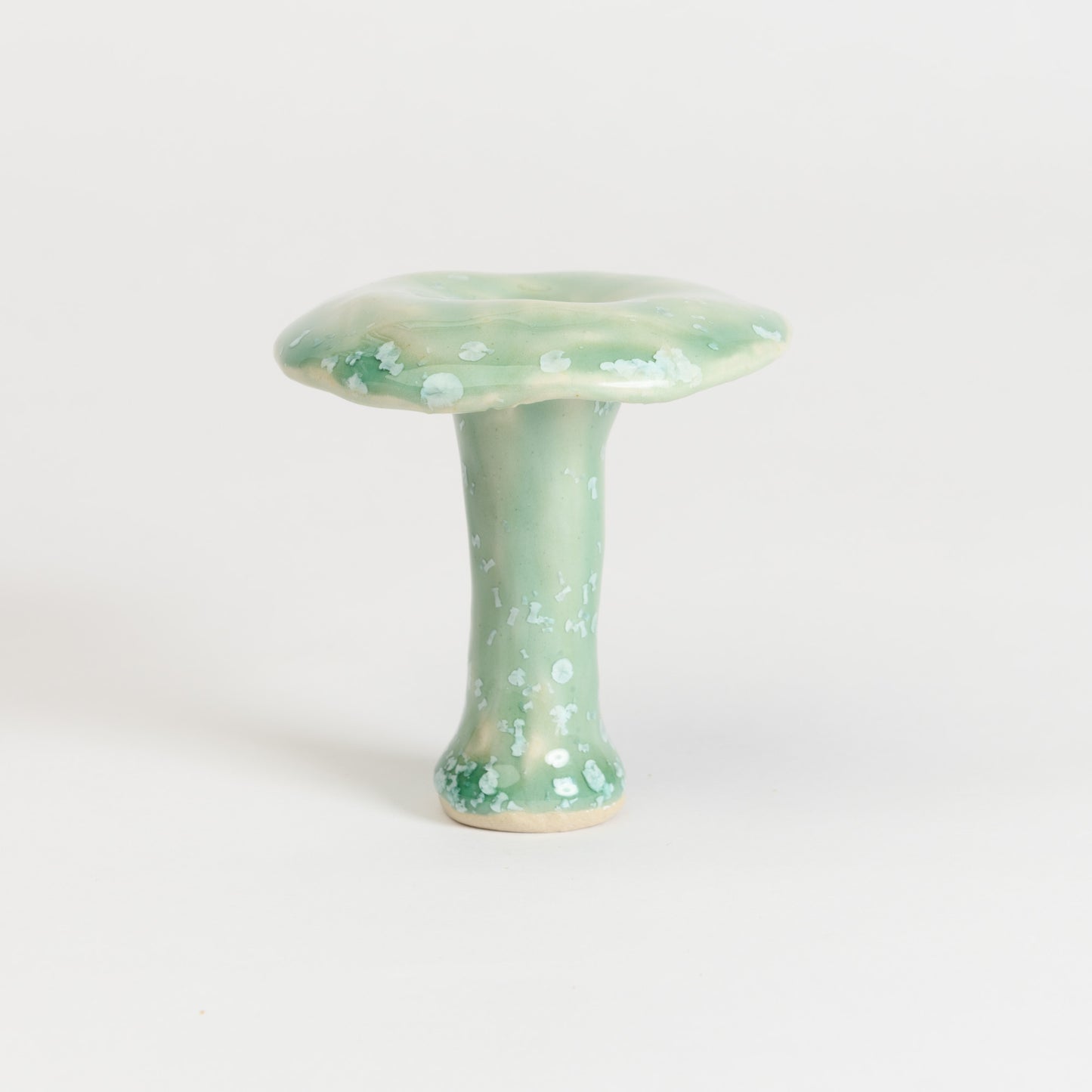 Mushroom - Milkcap