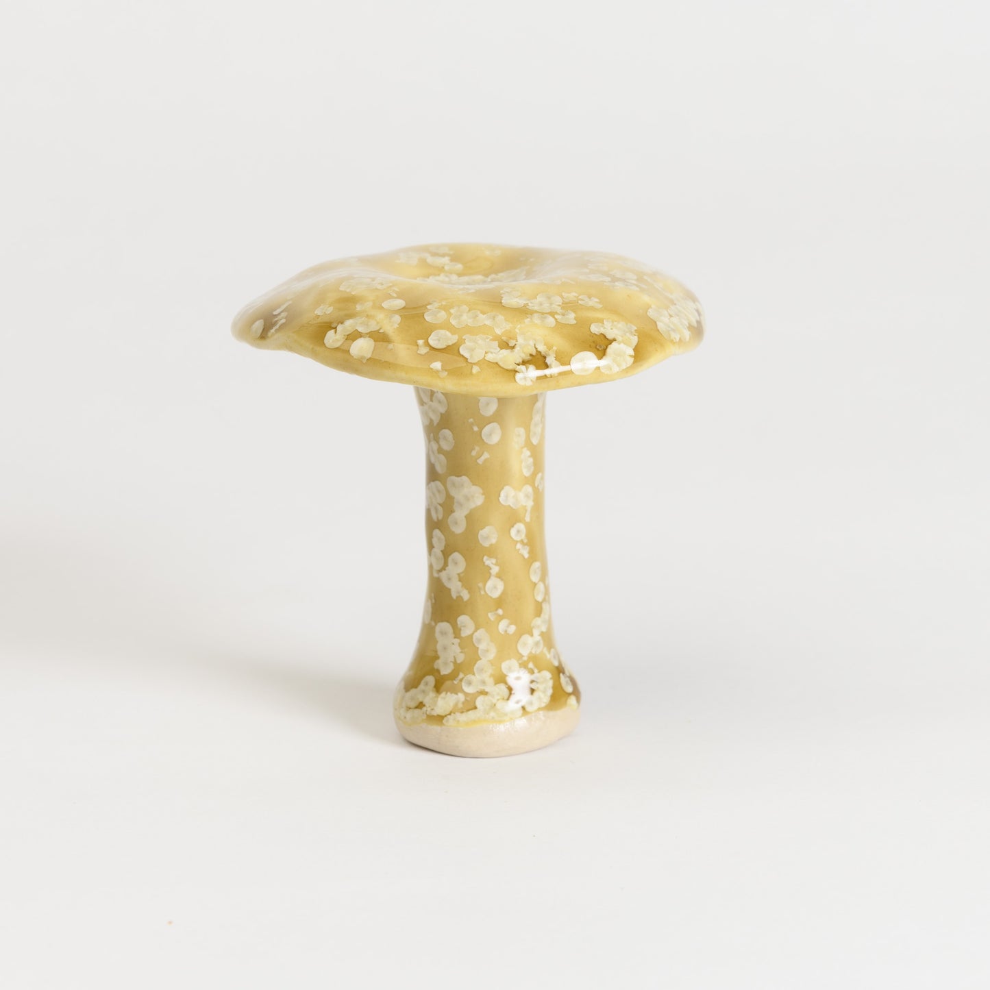 Mushroom - Milkcap