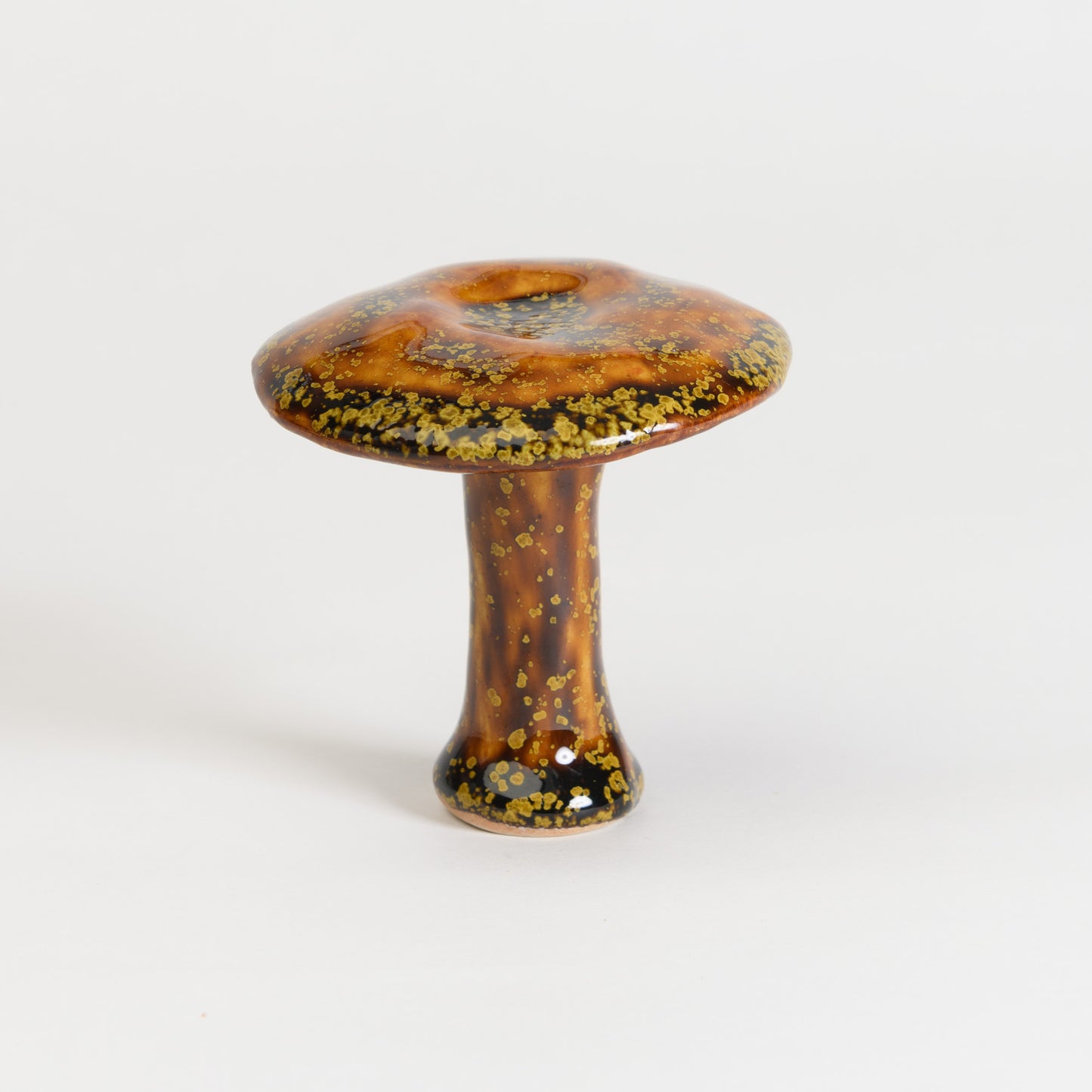 Mushroom - Milkcap