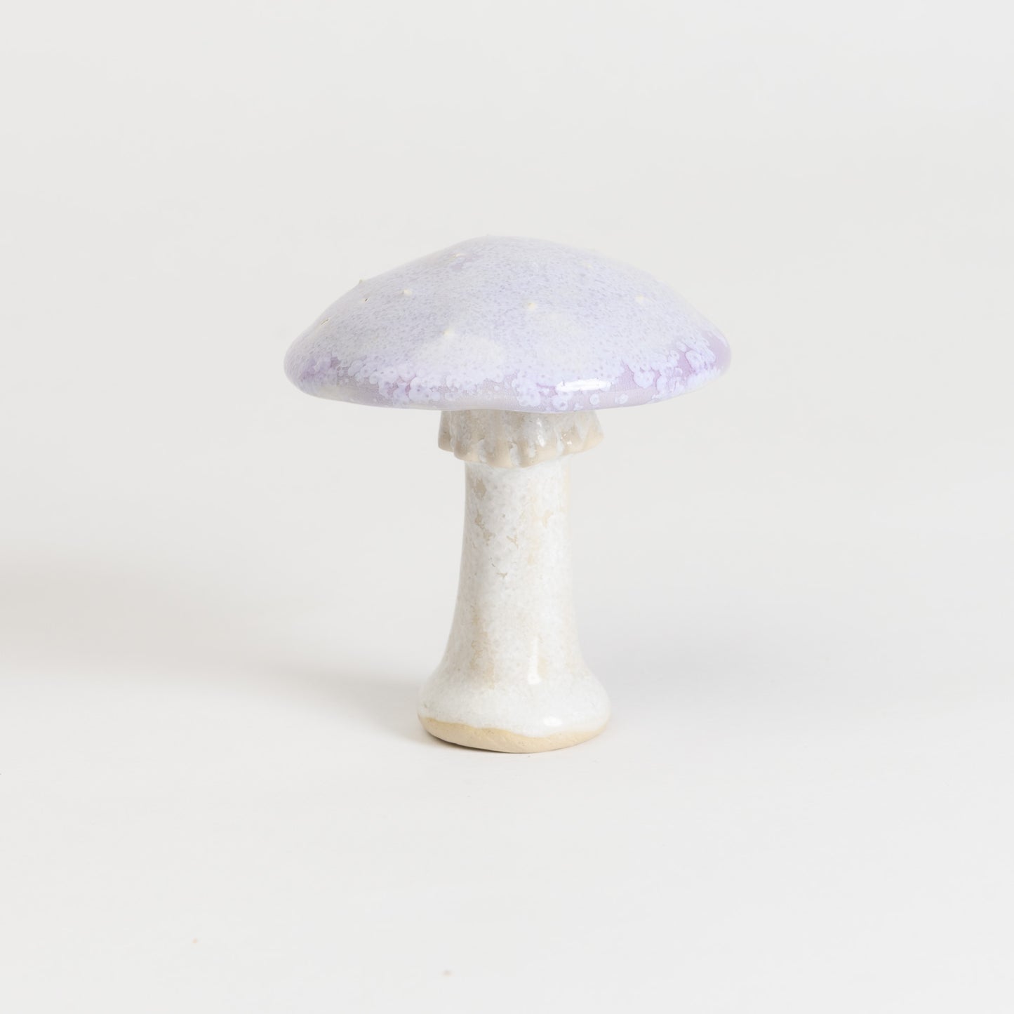 Mushroom - Fly Agaric