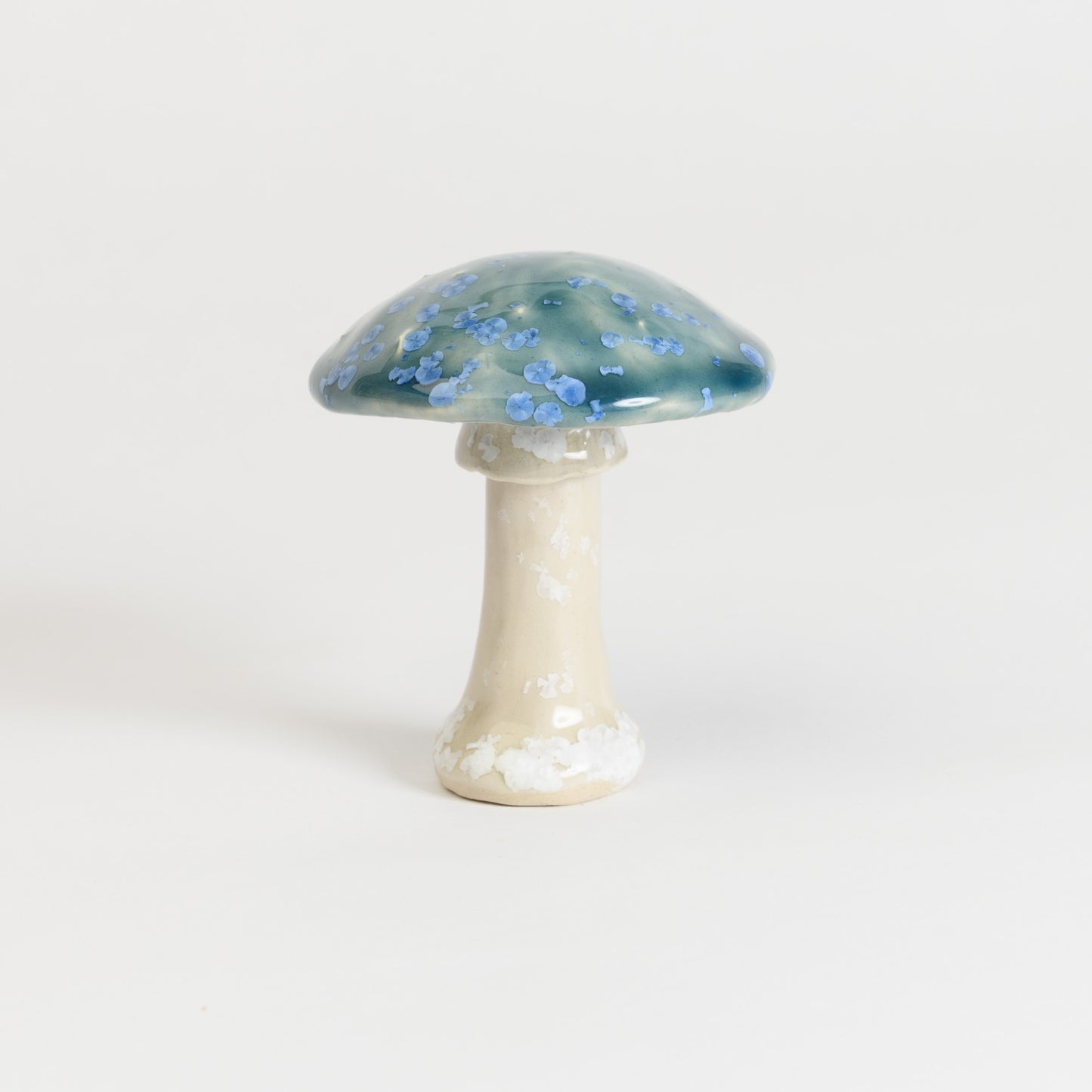 Mushroom - Fly Agaric