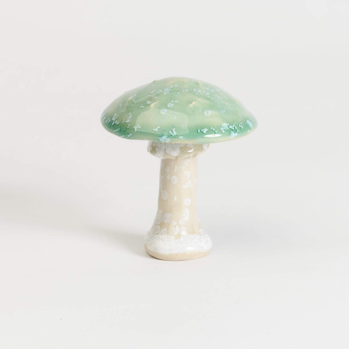 Mushroom - Fly Agaric