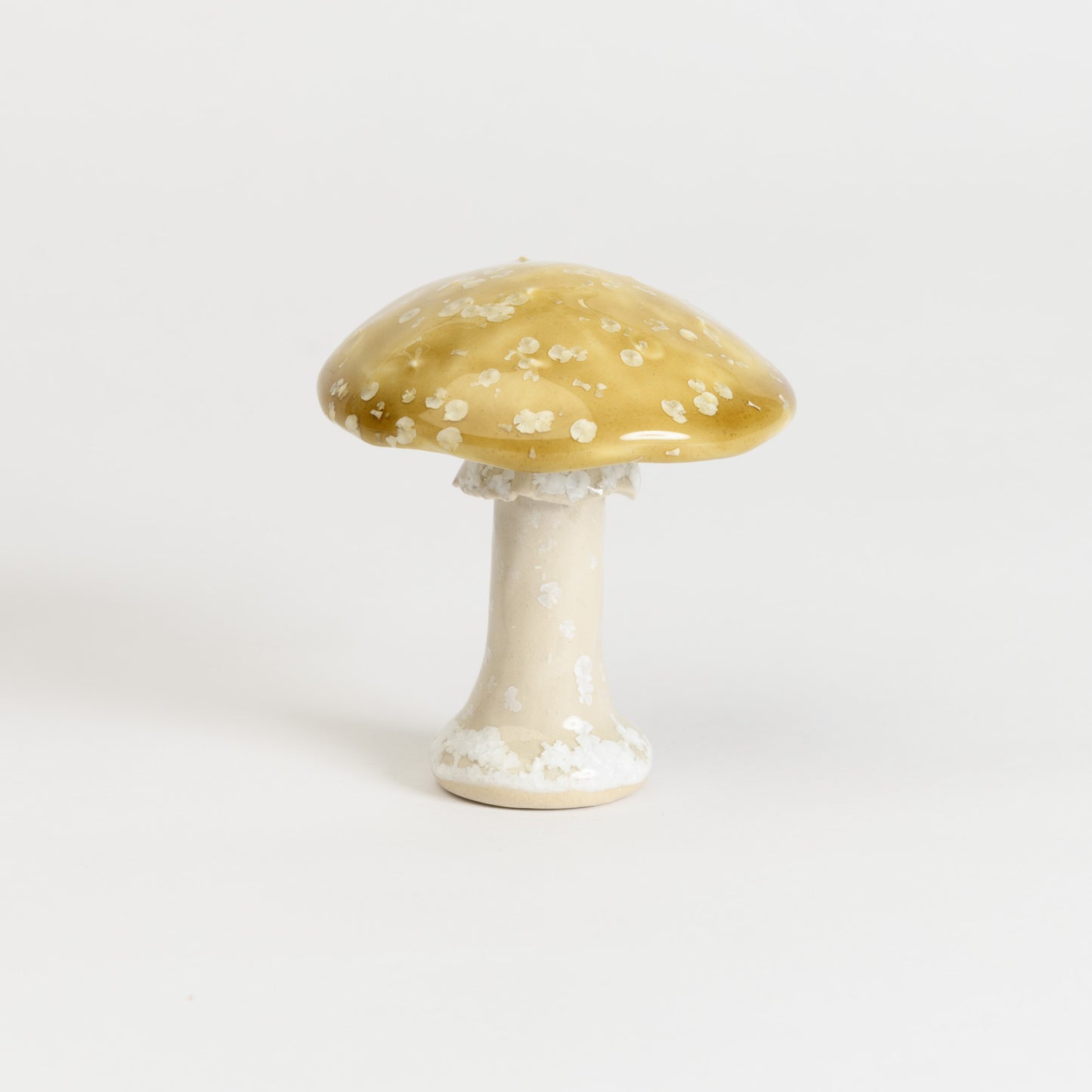 Mushroom - Fly Agaric