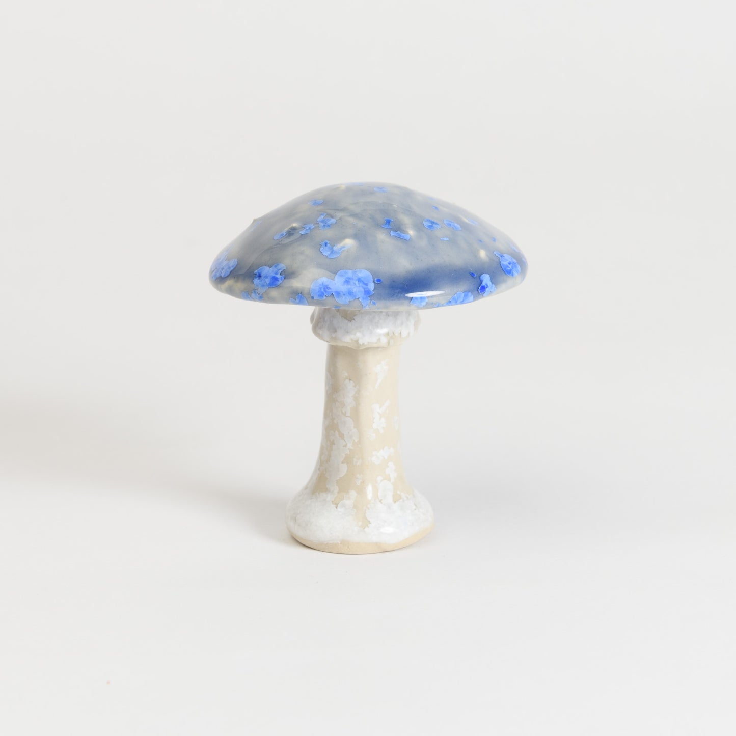 Mushroom - Fly Agaric