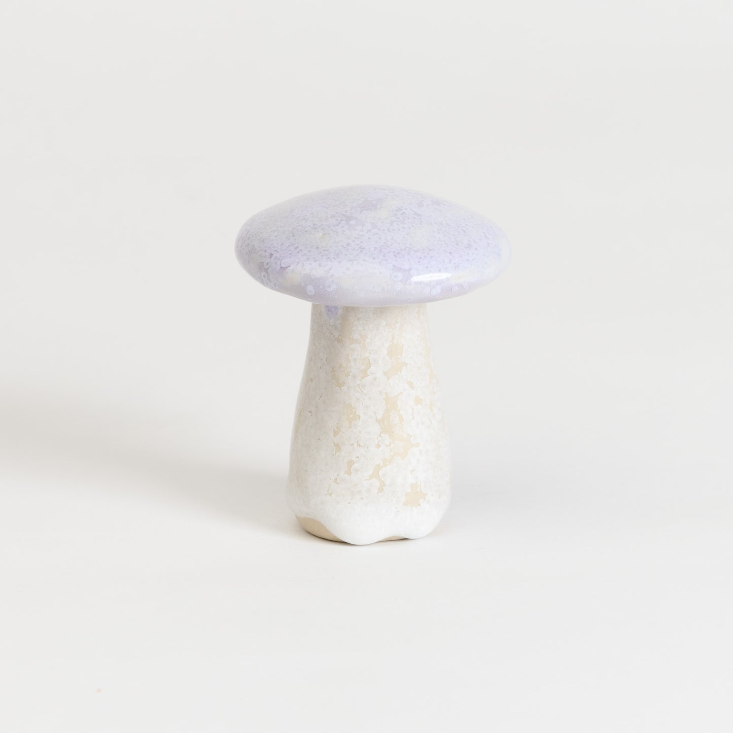 Mushroom - Porcini