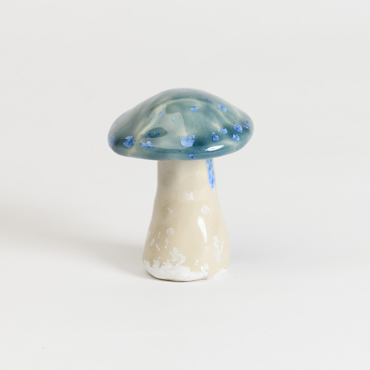 Mushroom - Porcini