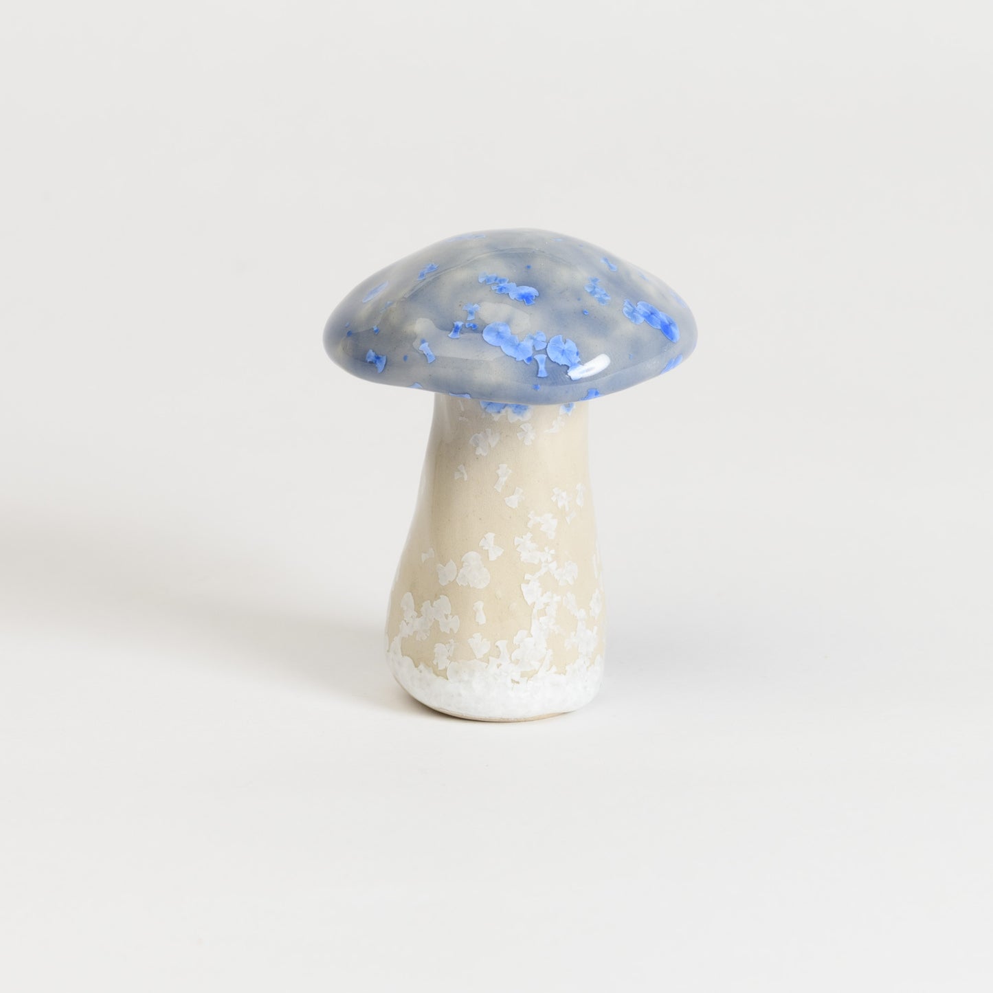 Mushroom - Porcini