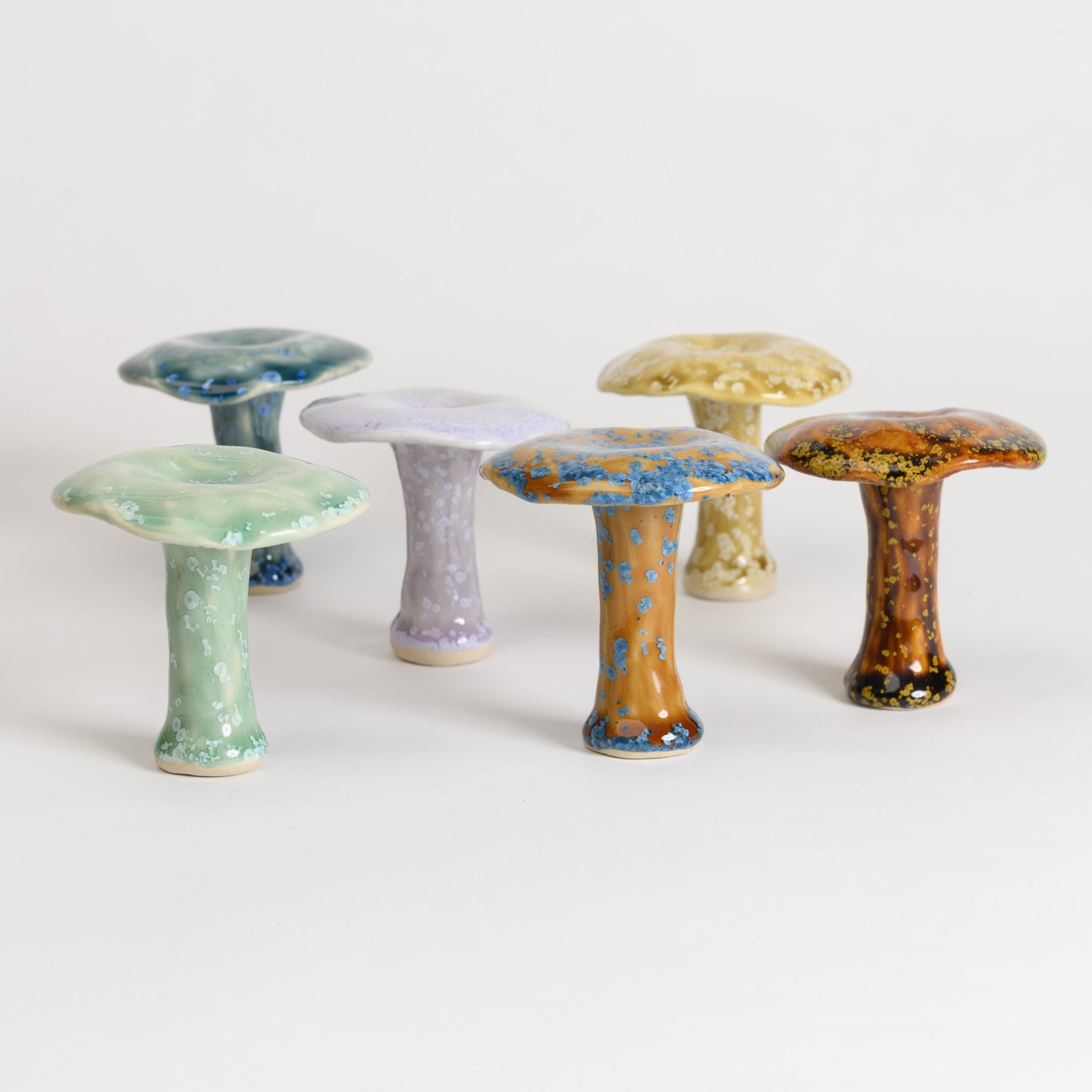 Mushroom - Milkcap