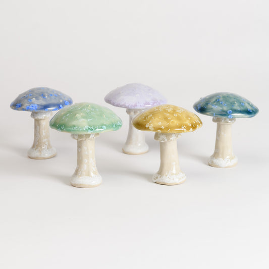 Mushroom - Fly Agaric