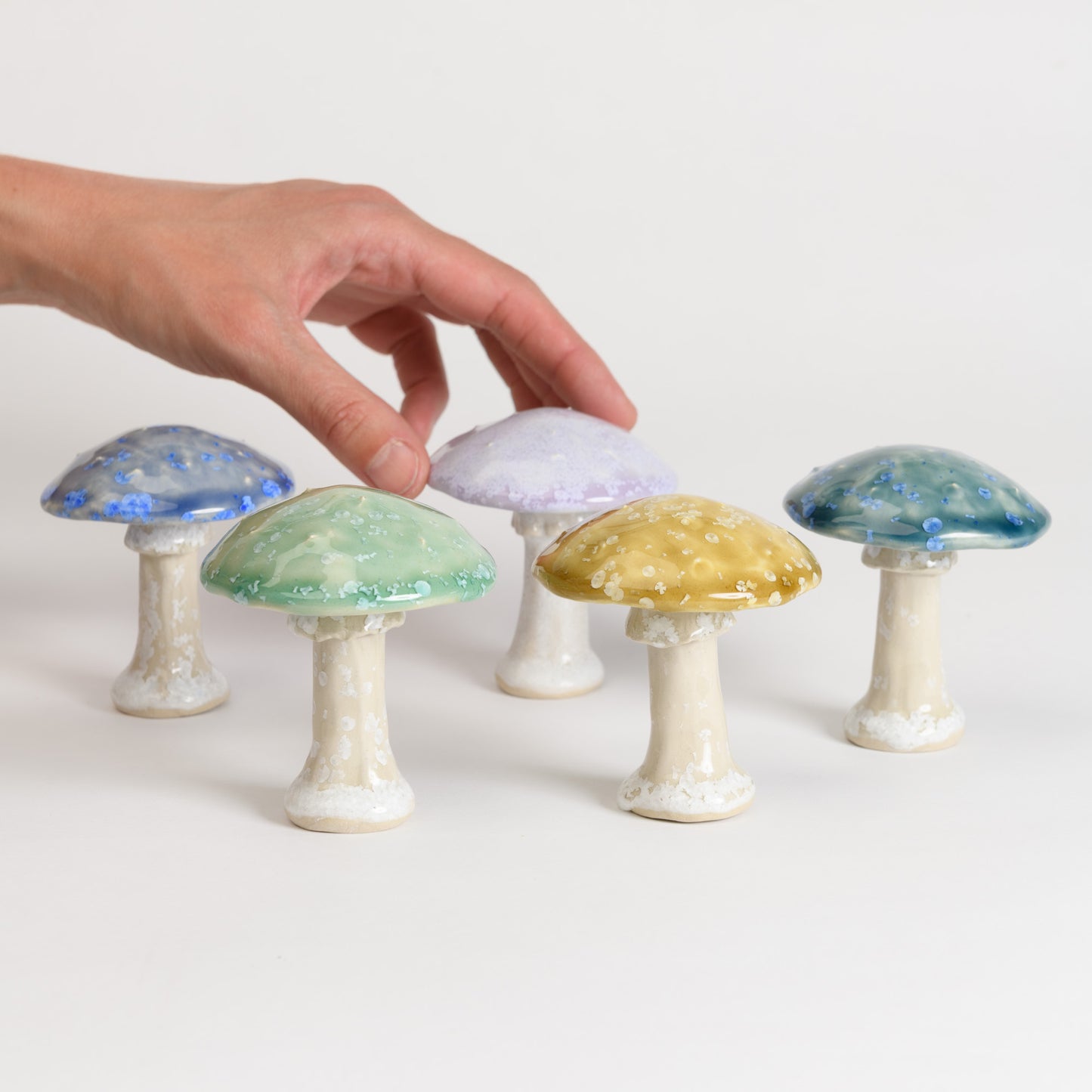 Mushroom - Fly Agaric