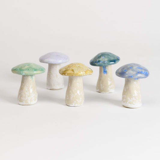 Mushroom - Porcini