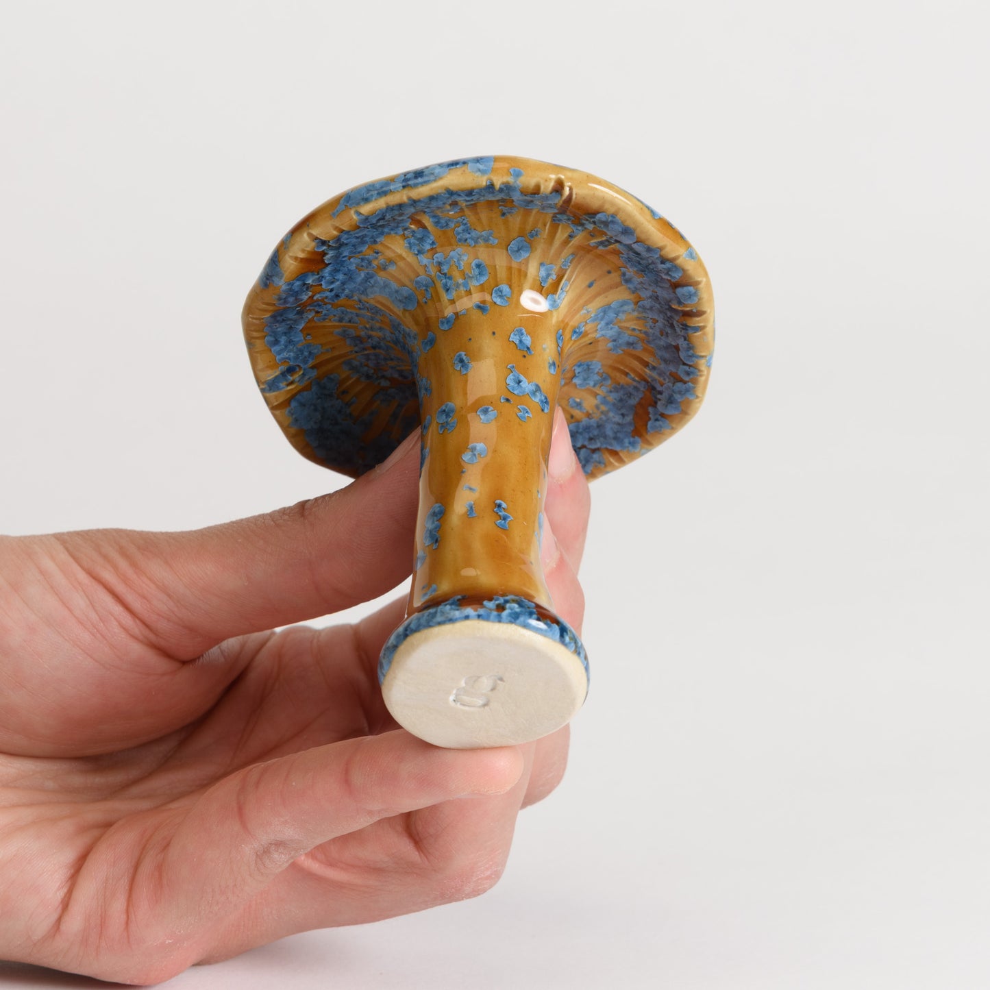 Mushroom - Milkcap