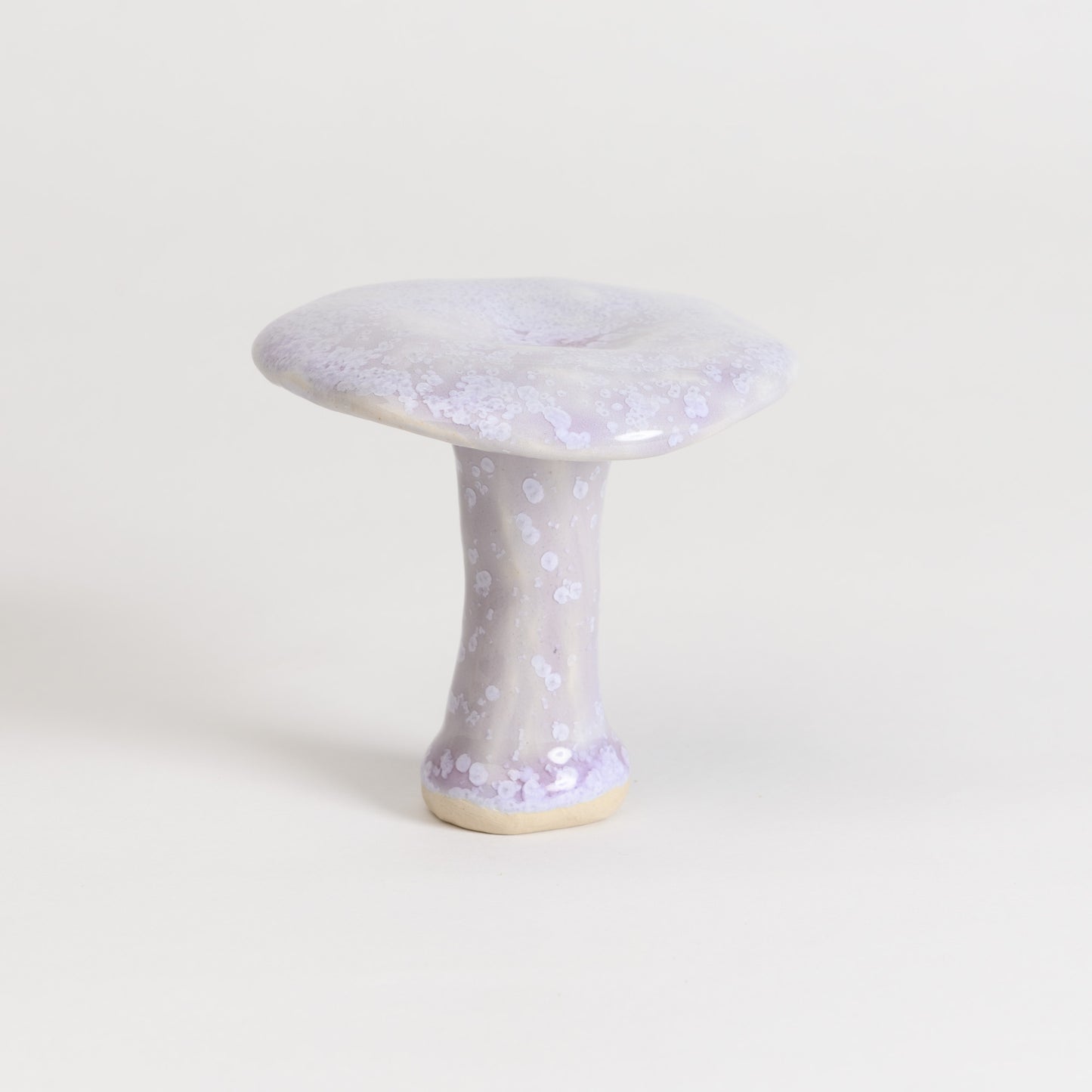 Mushroom - Milkcap