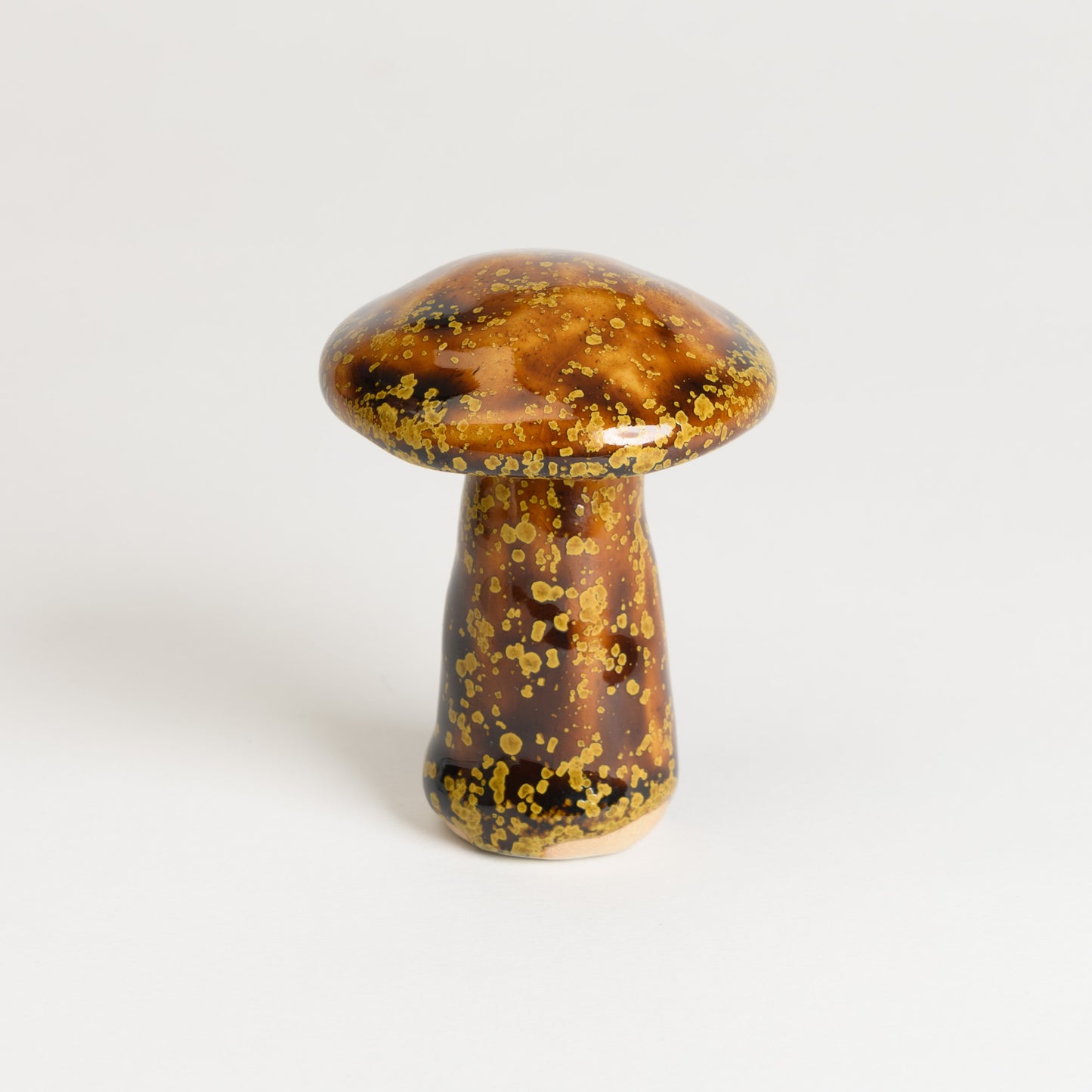 Mushroom - Porcini